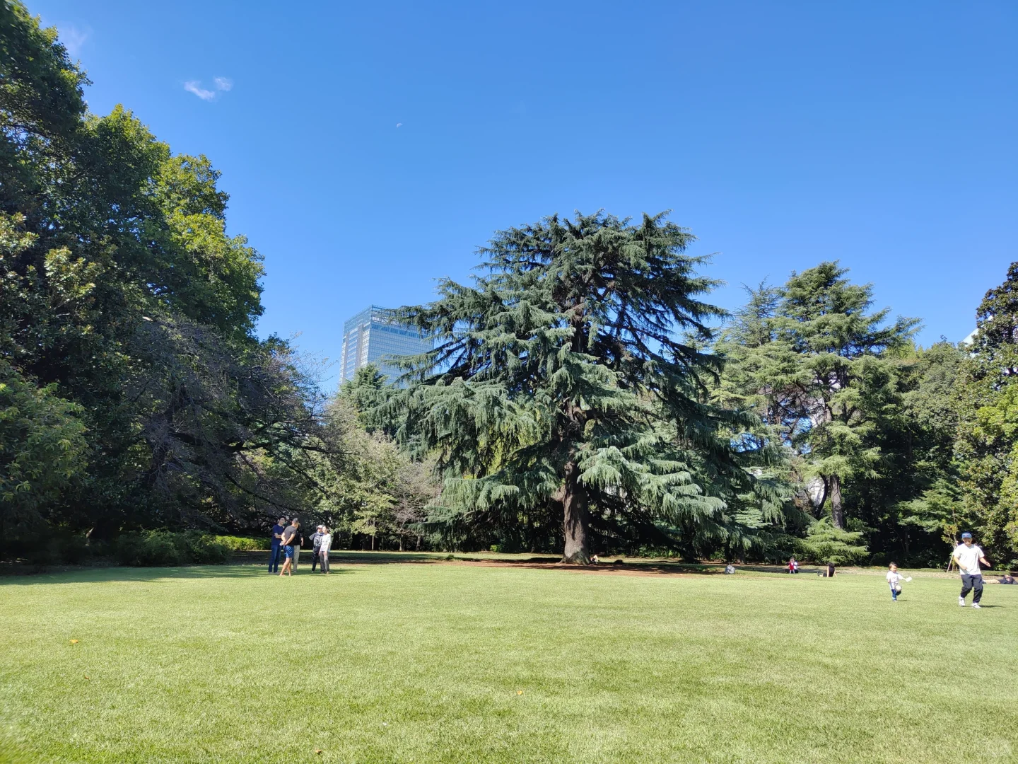 These Tokyo Parks Are a Must-Visit