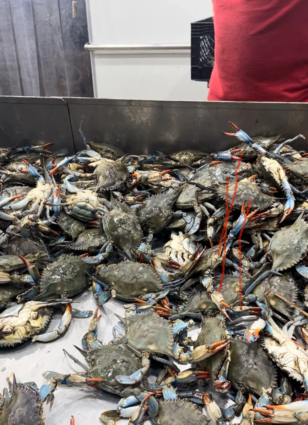 "Eight Months in the U.S., and I Finally Experienced Something Affordable!!!"