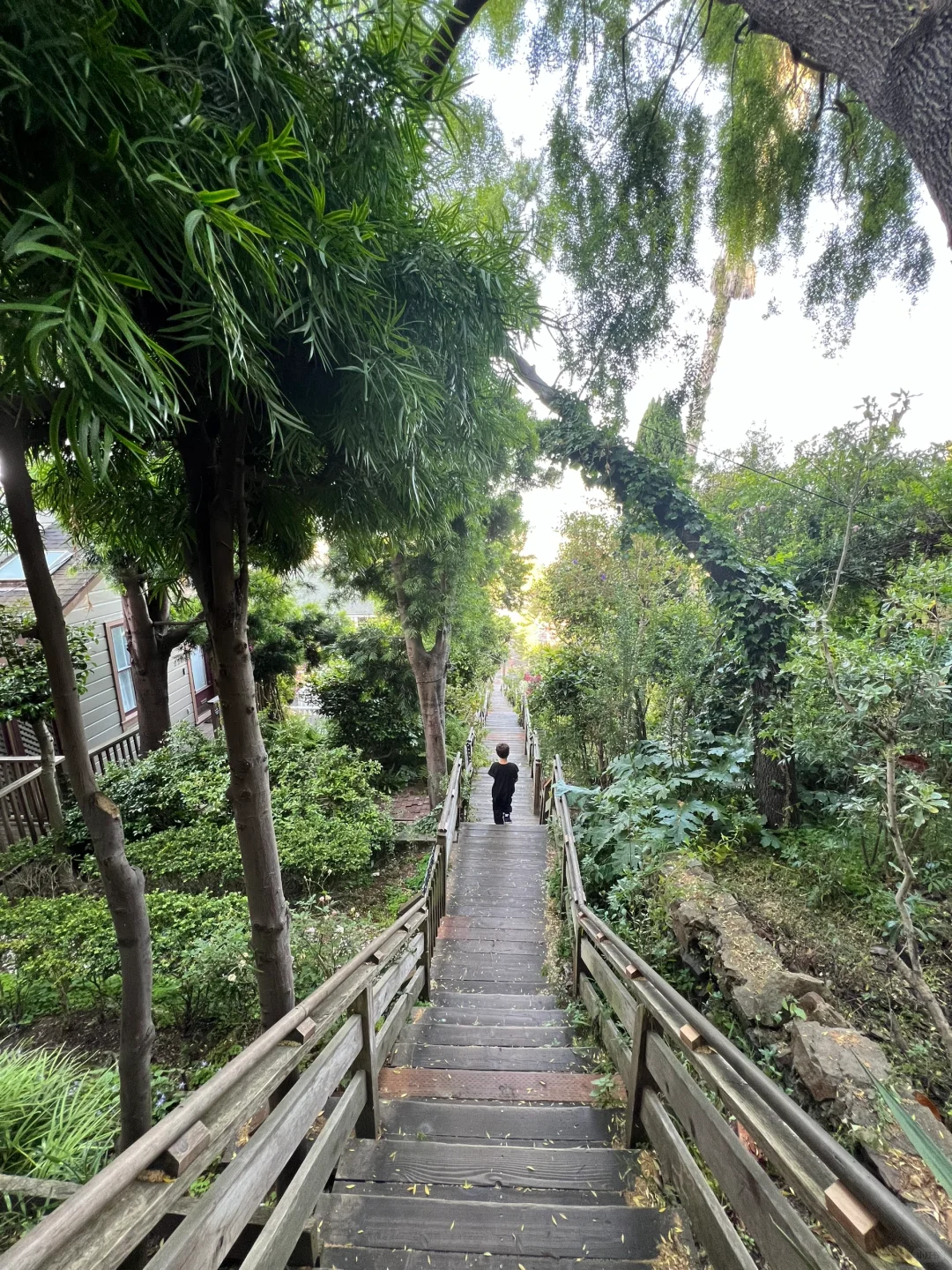 A Glimpse of the Real San Francisco (Day 9)