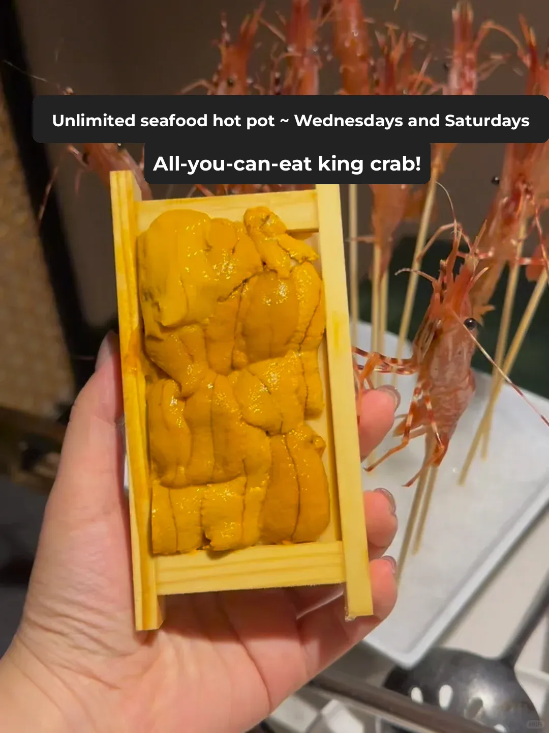 This NYC Hot Pot Spot is Insane! Unlimited King Crab? Plus Free Sea Urchin!