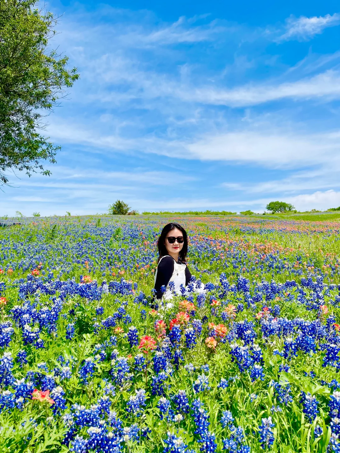 Dallas｜Bluebonnets🌹The spring breeze kisses me like an egg tart~