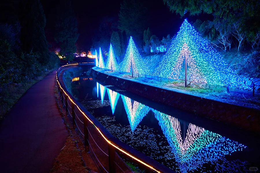 Kansai's Largest Year-Round Light Show 🎄 Christmas Edition Coming Soon