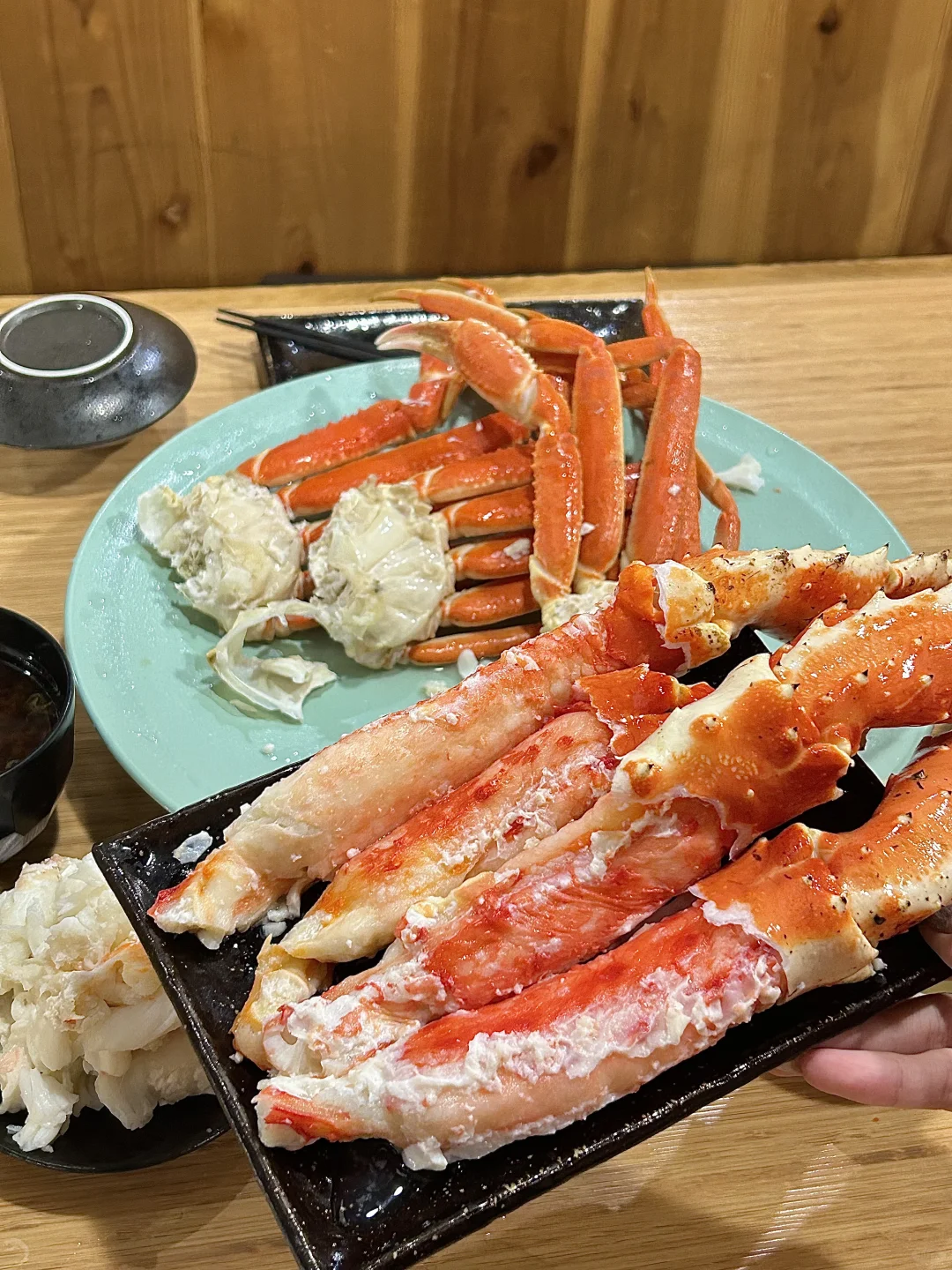 Feasting on King Crab and Snow Crab in Kyoto till Full! 🦀