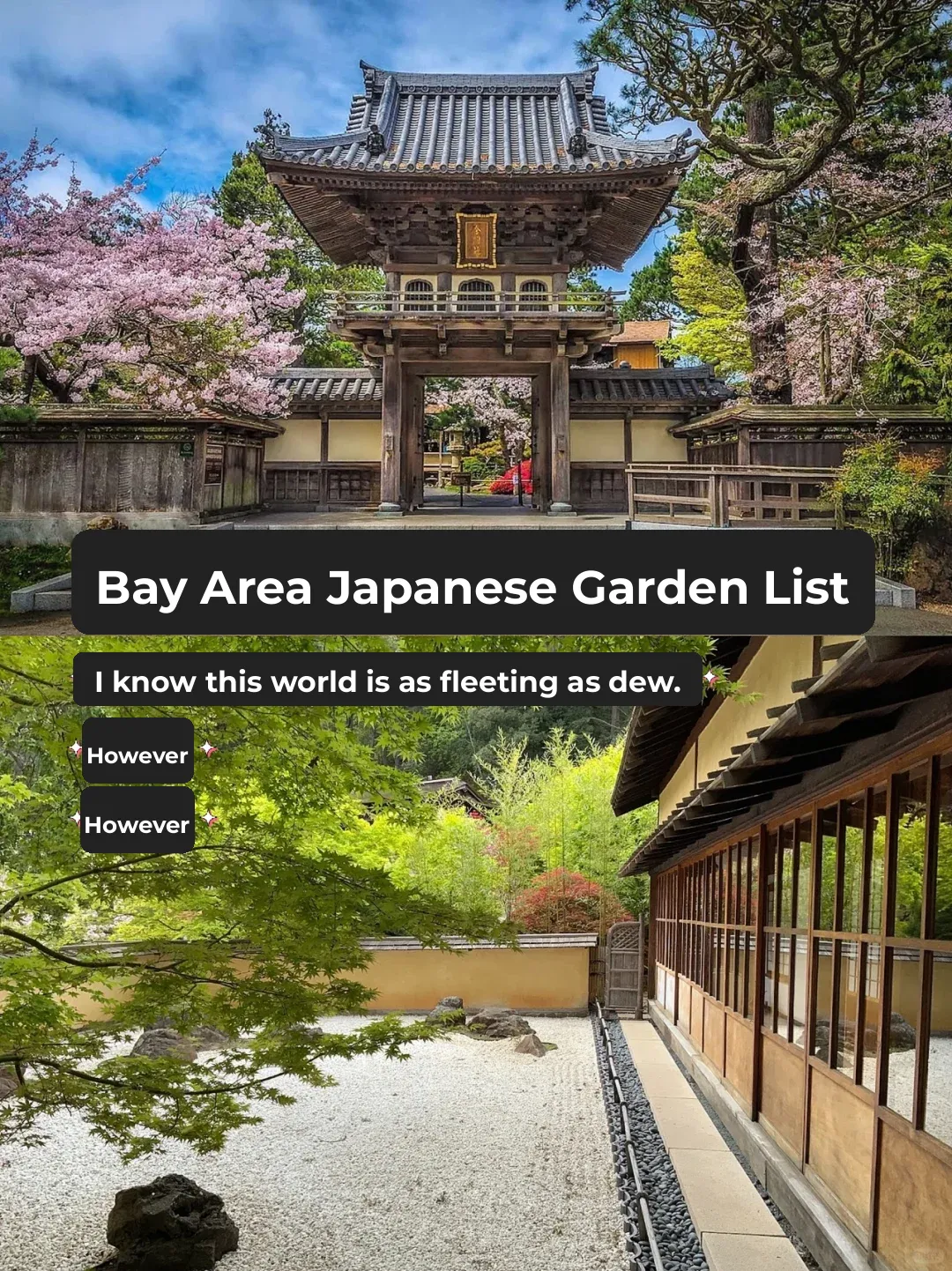 Bay Area Events | Ultimate Guide to Japanese Gardens in the Bay