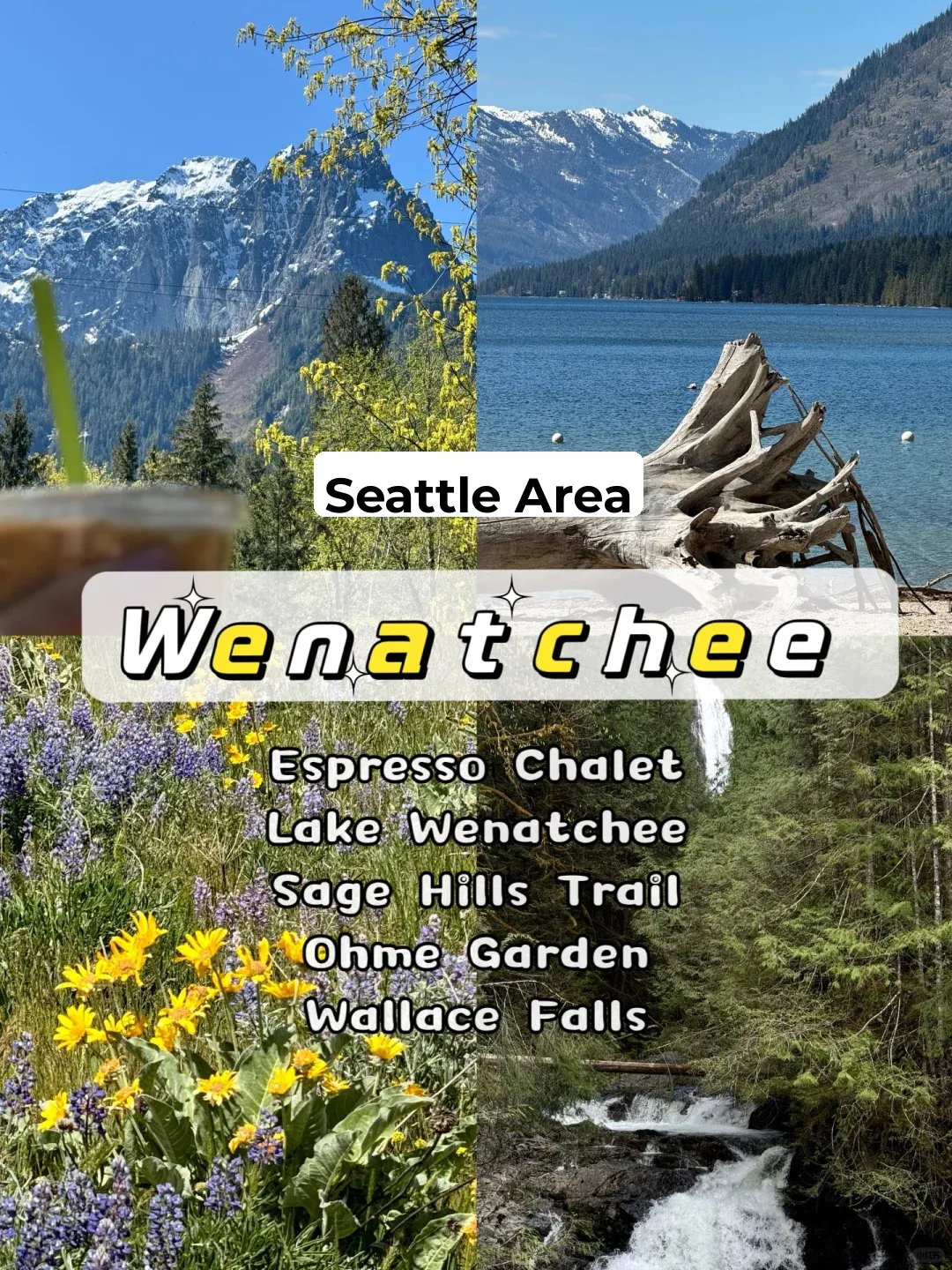 "Seattle Surroundings | April Wildflowers in Wenatchee"