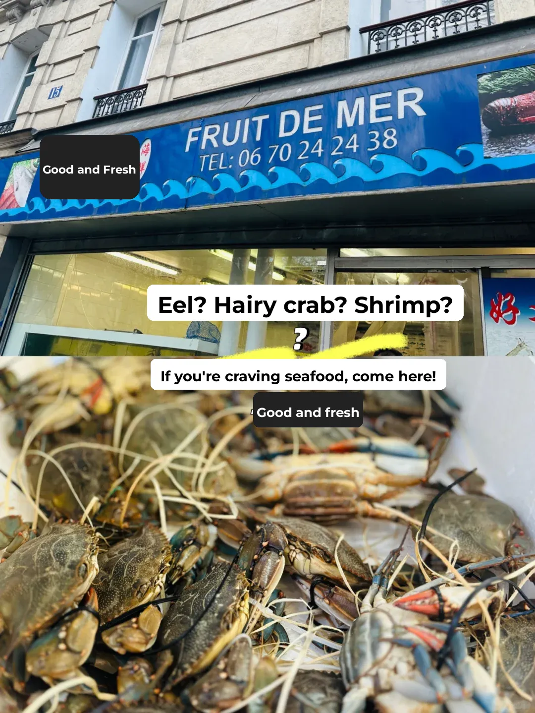 〖Paris Eats〗Seafood You Won't Find in Supermarkets, All Here!