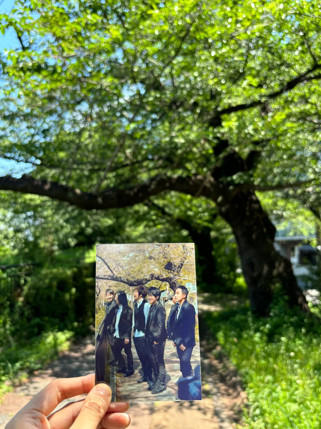 Mayday Tokyo Check-In | Inspiration Trail