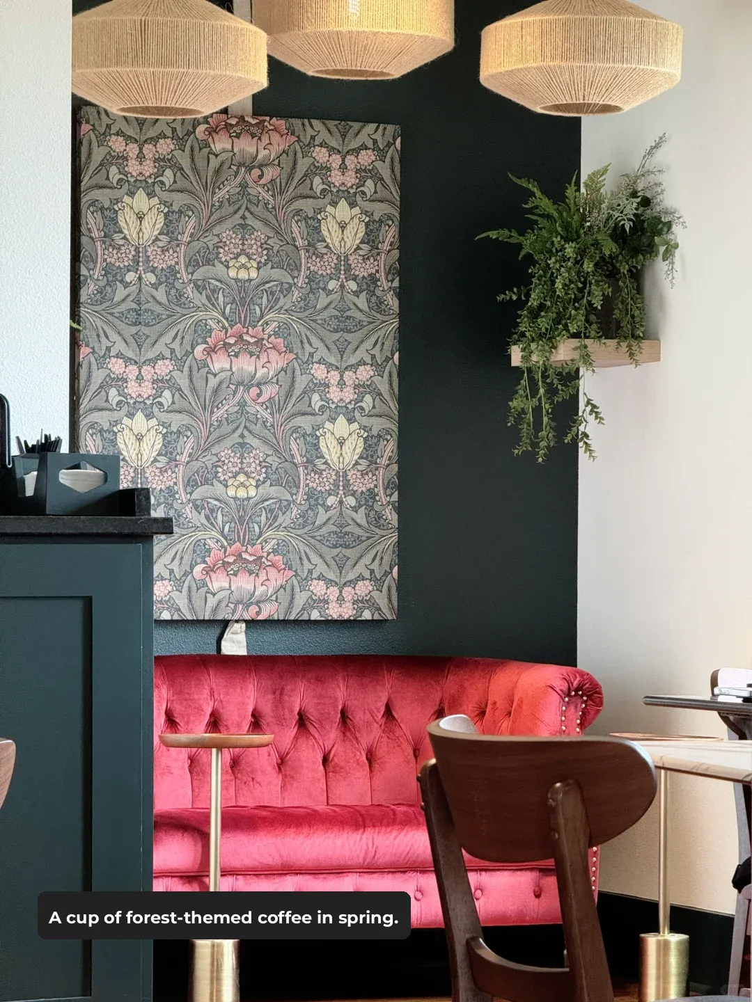 Springtime Forest-Themed Coffee in Austin, Texas