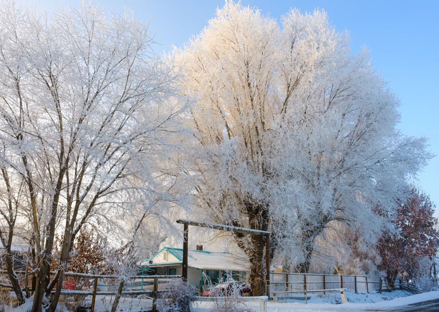 Frost Town Near Seattle