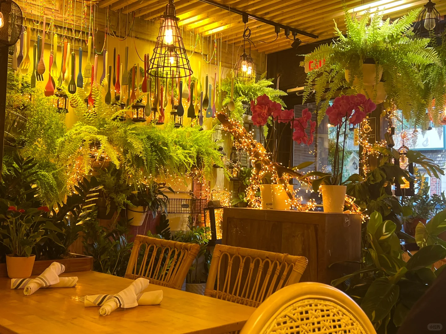 Philadelphia Area | Food Adventure at Coco Thai Bistro