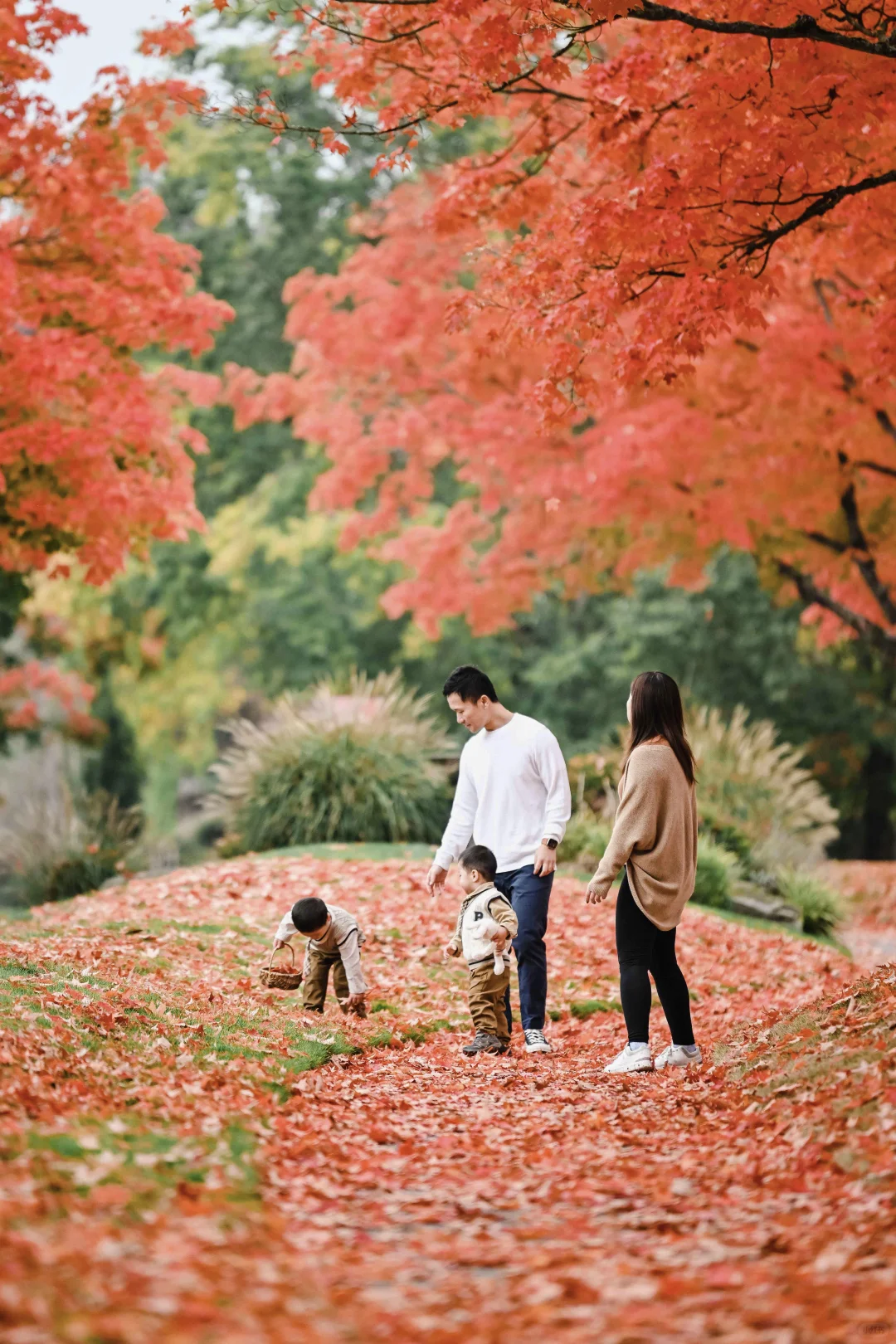 Did we bump into each other in Bothell this weekend? 😉🍁