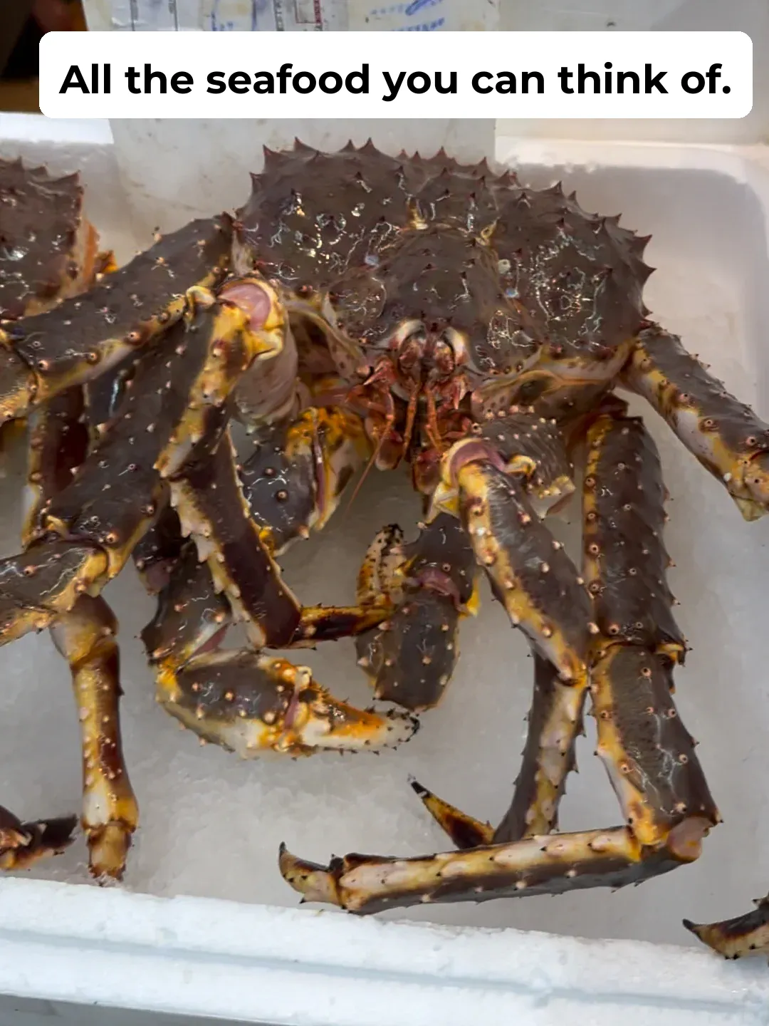 Introducing New York's Most Comprehensive Seafood Shop