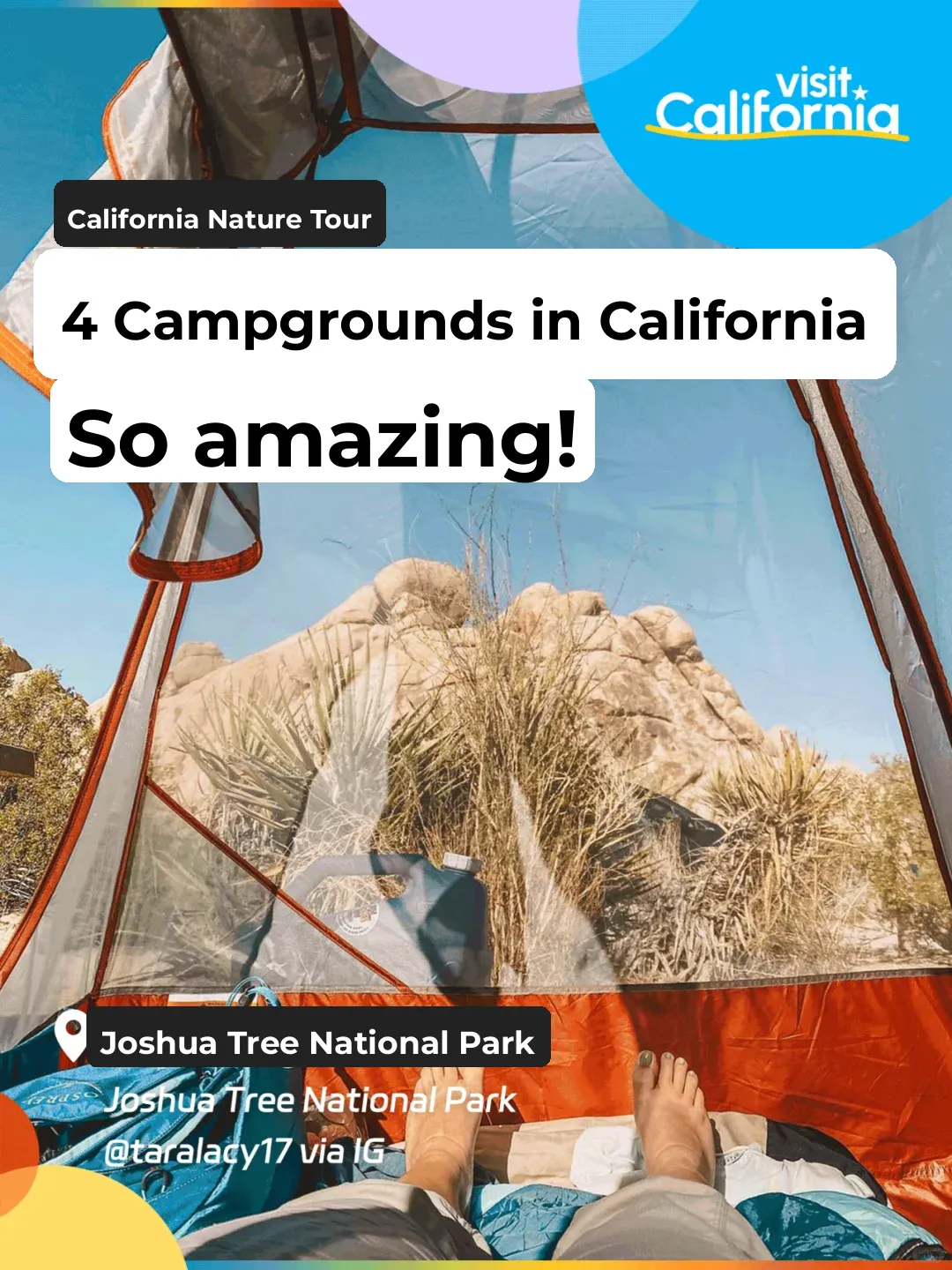 Found the Perfect Spot for Camping in California: Ocean Views and Stargazing! 🏕️