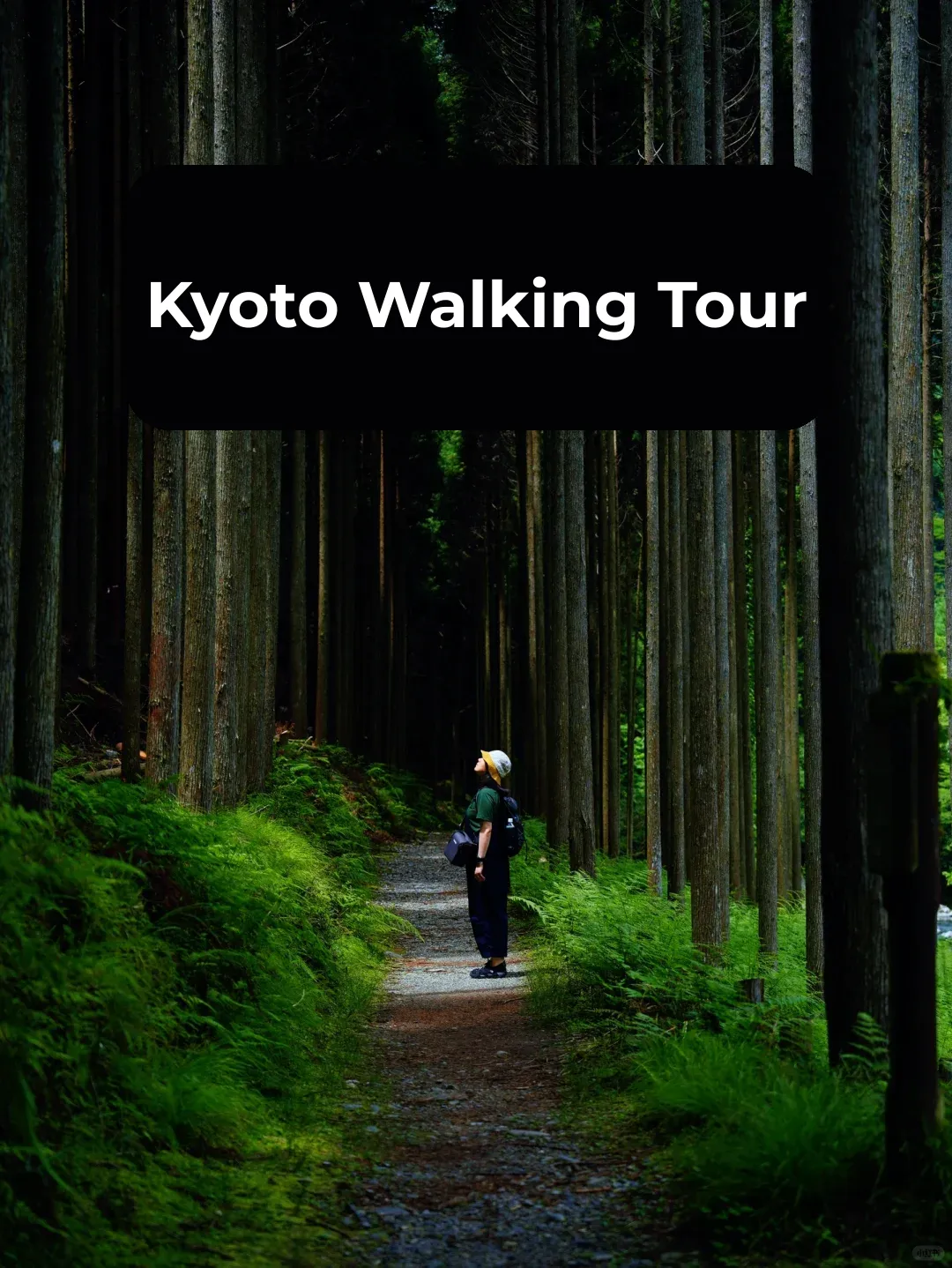 Hiking Kyoto's Arashiyama: Captured the Photo of a Lifetime