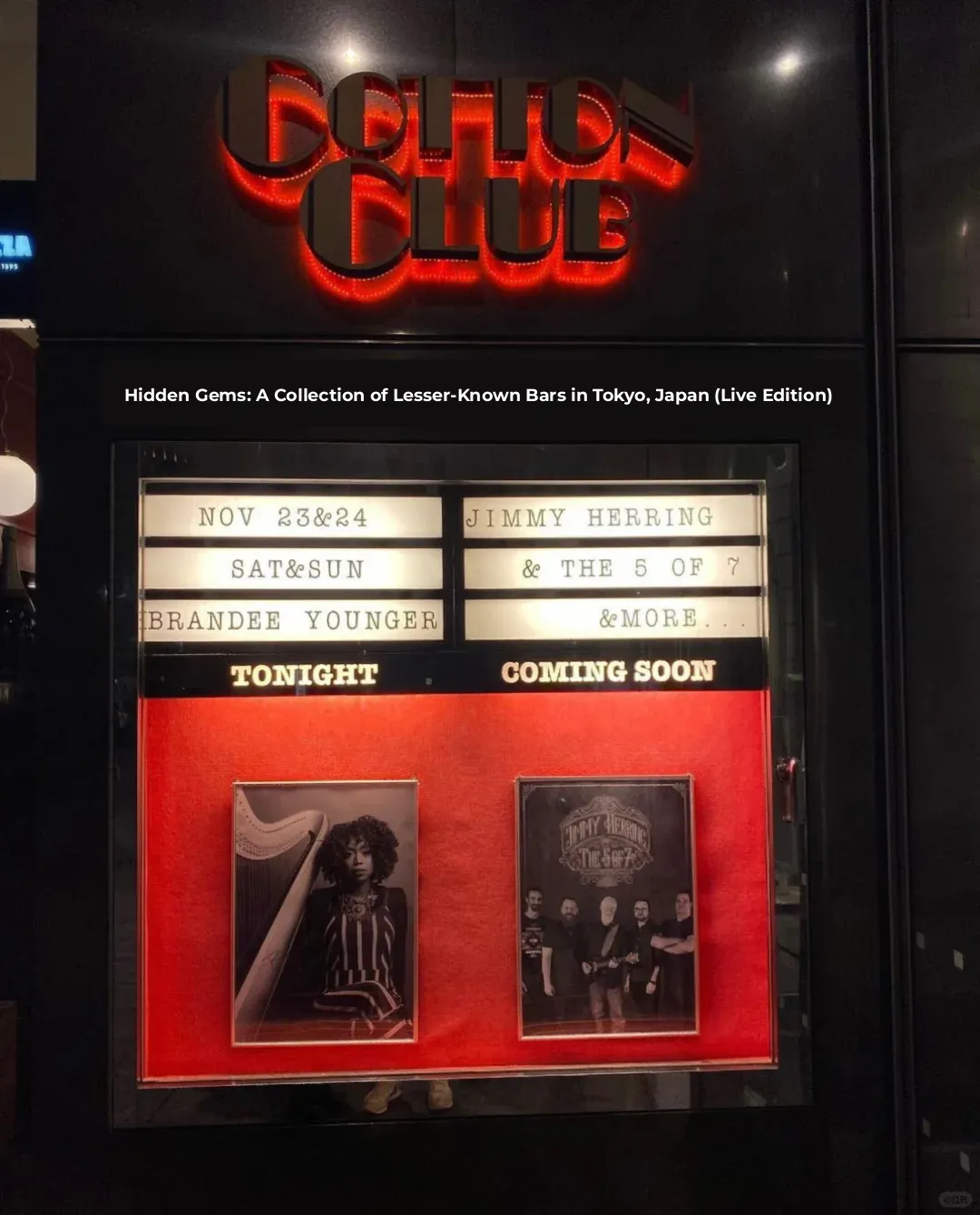 Tokyo's Hidden Gems: A Curated List of Secret Bars (Live Edition) Part 2