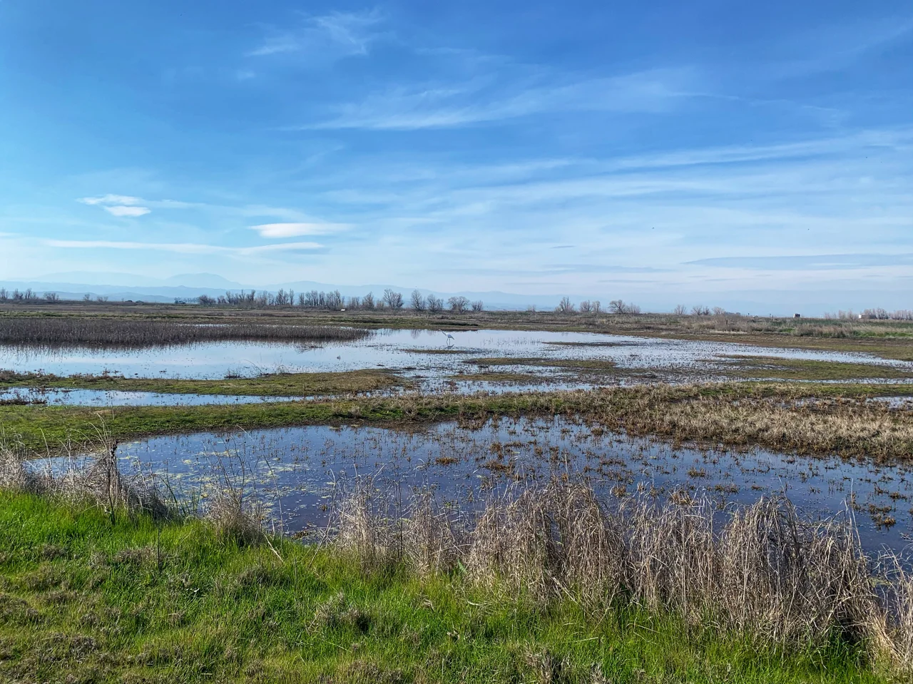 Sacramento National Wildlife Refuge