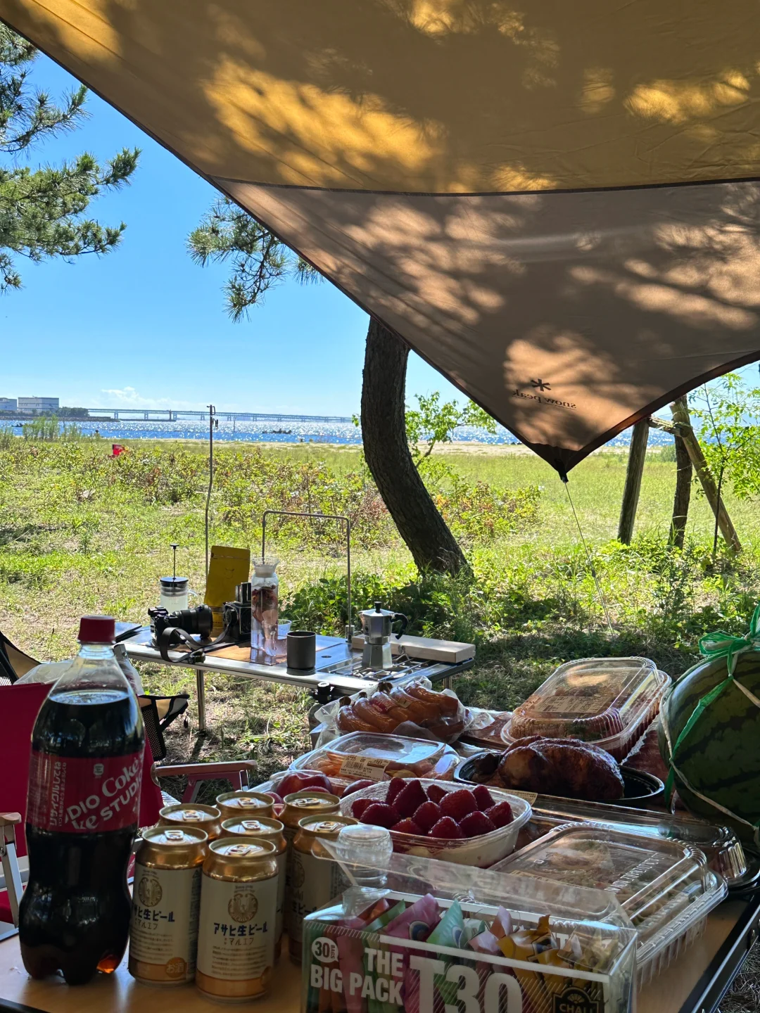 🔥 Seshinohama is Lit!