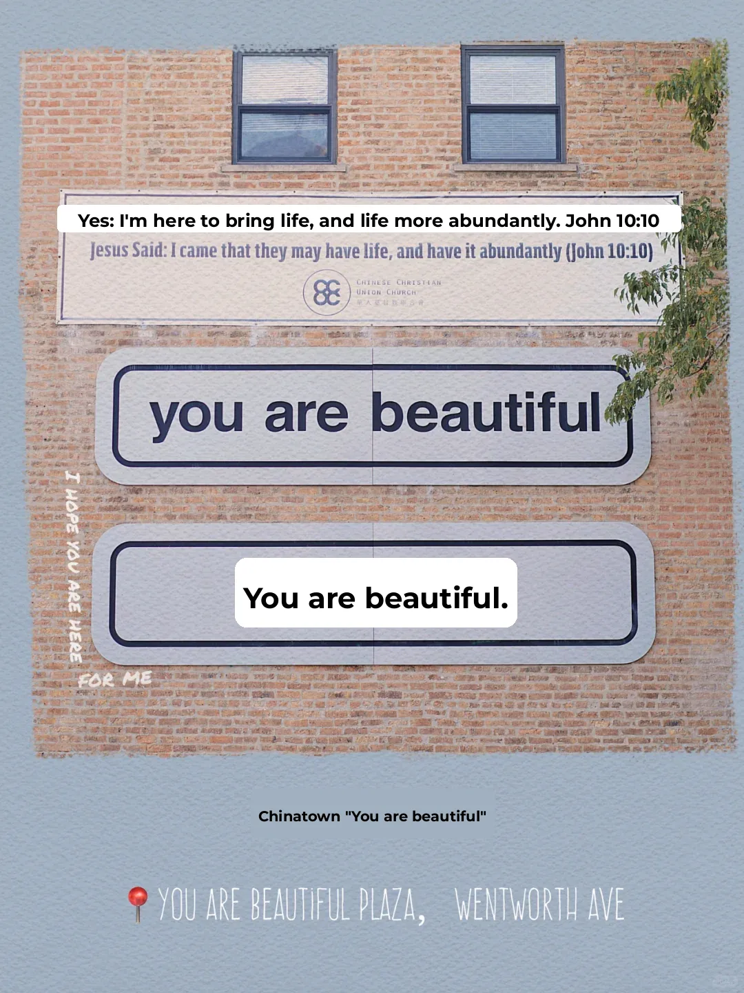 Wall" Must-See | A Complete Guide to Chicago's Instagram-Famous Walls 🦩📷