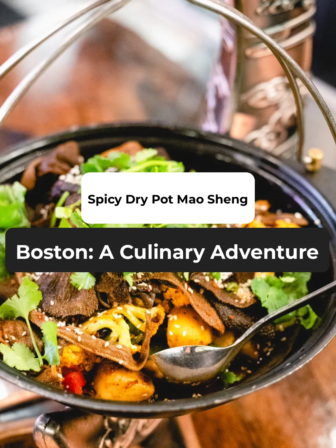 The Best Dry Pot Beef Tripe in Boston | A Flavor Quest Across the City