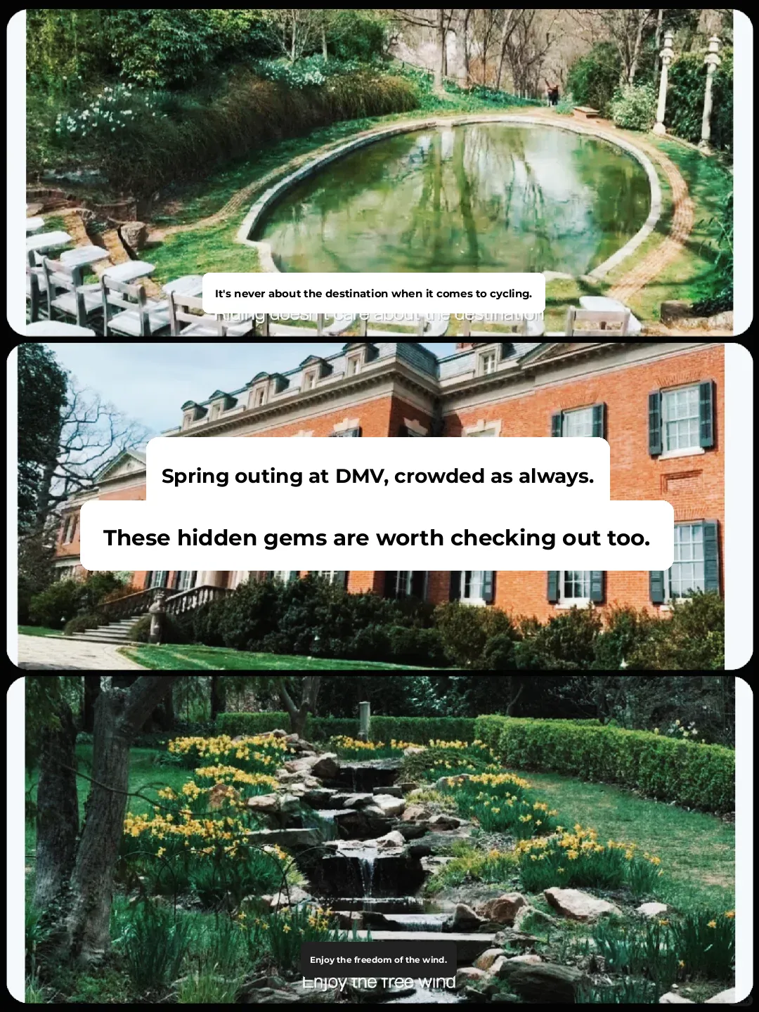 The Most Beautiful Season in DMV｜Must-See Spring Scenery to Add to Your List 🌟