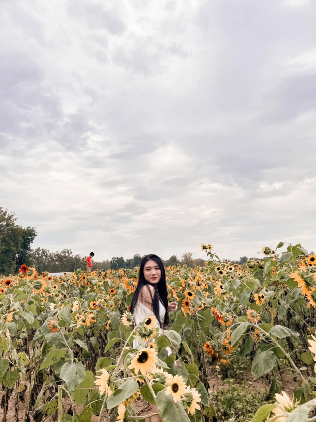 🇺🇸 Must-Visit Spots in Cincinnati ✨ Sunflower Season 🌻