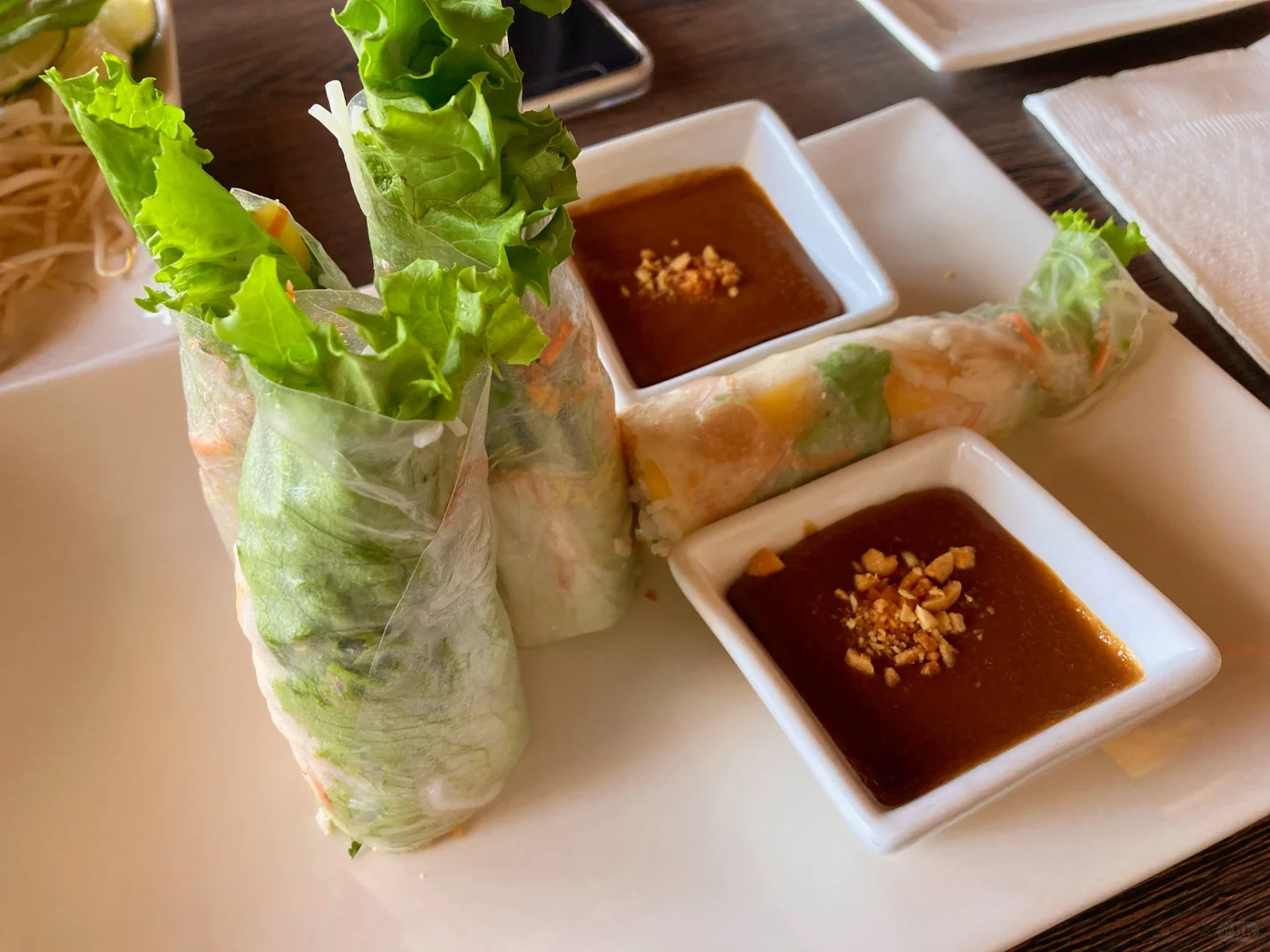 Vietnamese Spring Rolls and Pho: Old Saigon Cafe in Houston