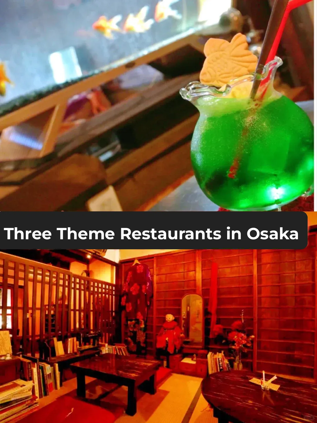 Local's Guide: Top 3 Themed Restaurants in Osaka!