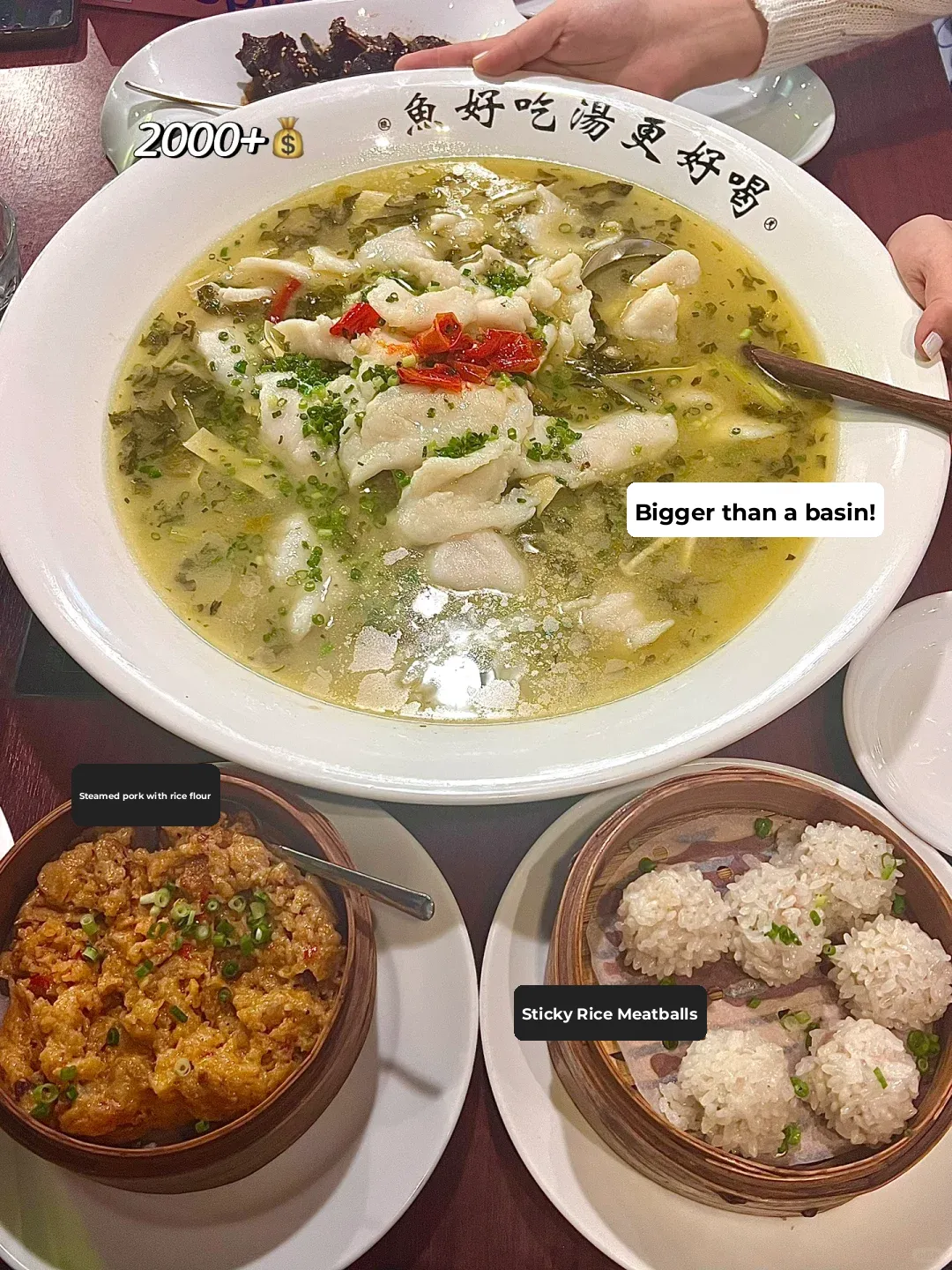 🇯🇵 Who Knew This Sichuan Restaurant in Ikebukuro Would Be So Affordable?! ‼️