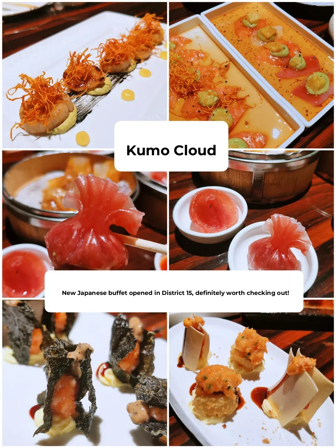 🇫🇷 Big Data Recommends Kumo Fusion Sushi Buffet in Paris' 15th Arrondissement