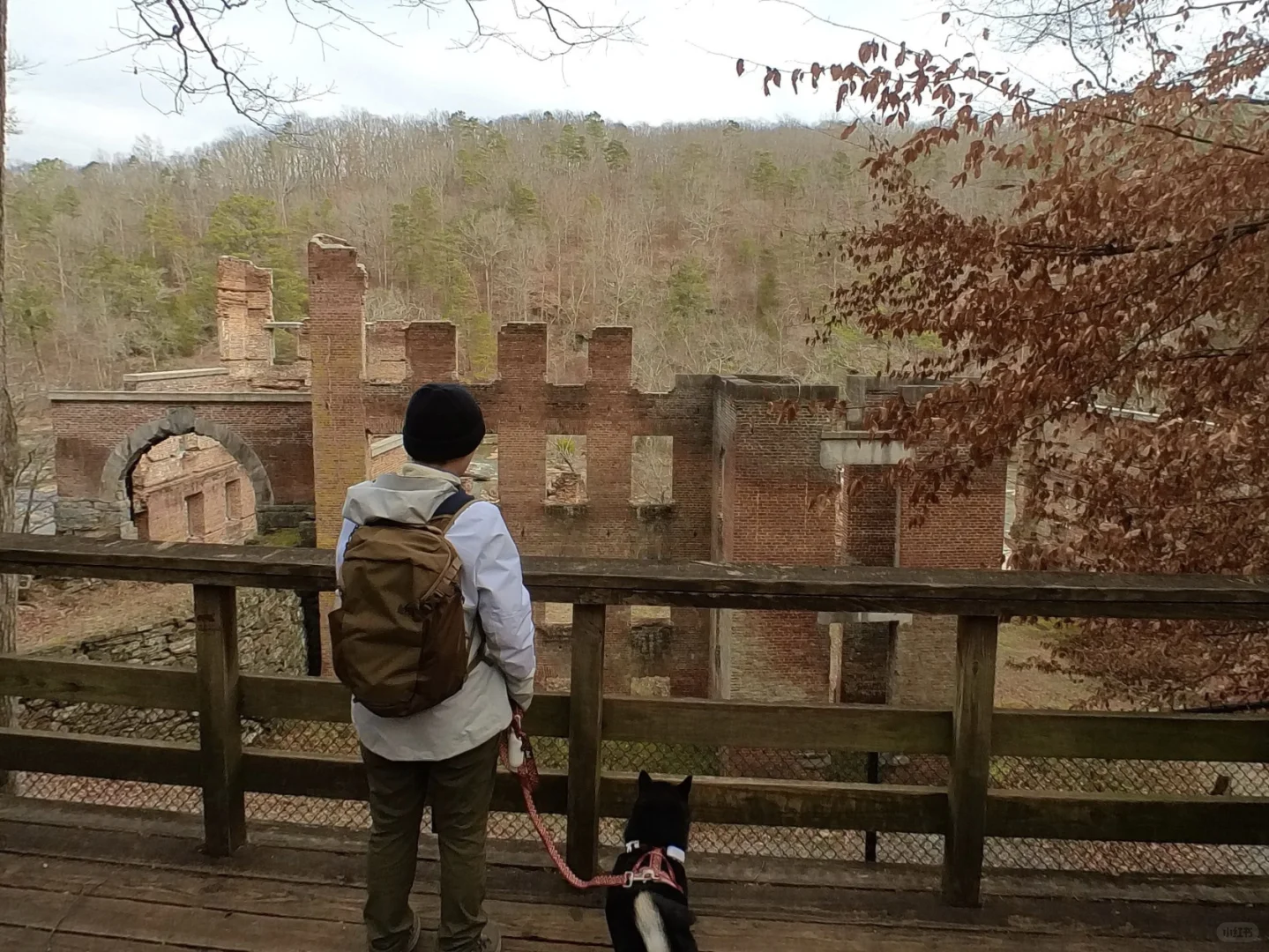 Dog-Friendly Spots Around Atlanta for a Perfect Walk with Your Pup