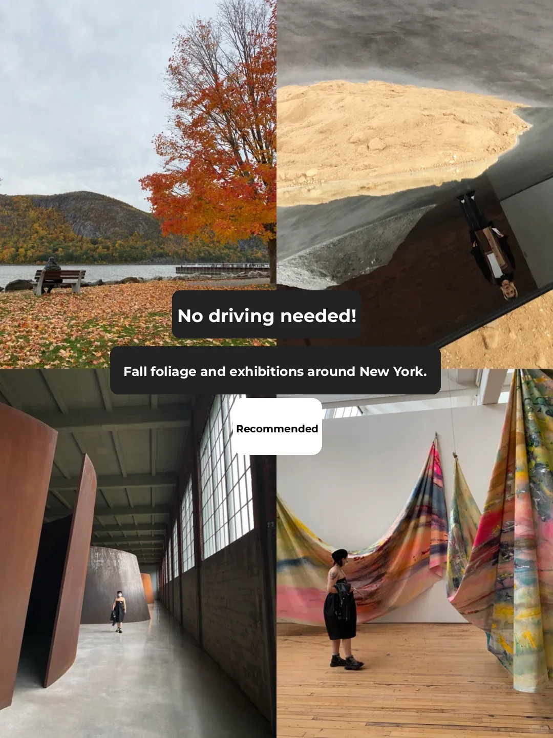 A Car-Free Getaway in NYC: Leaf Peeping, Art Shows, and All-Around Fun!