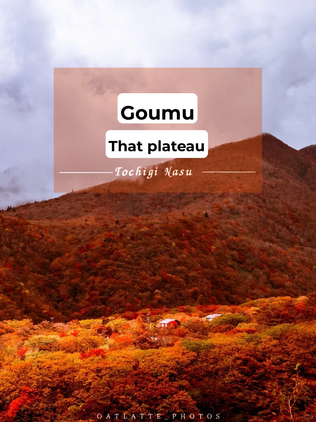 Autumn Getaway Near Tokyo 🍁 Luxury Glamping at Nasu Highland