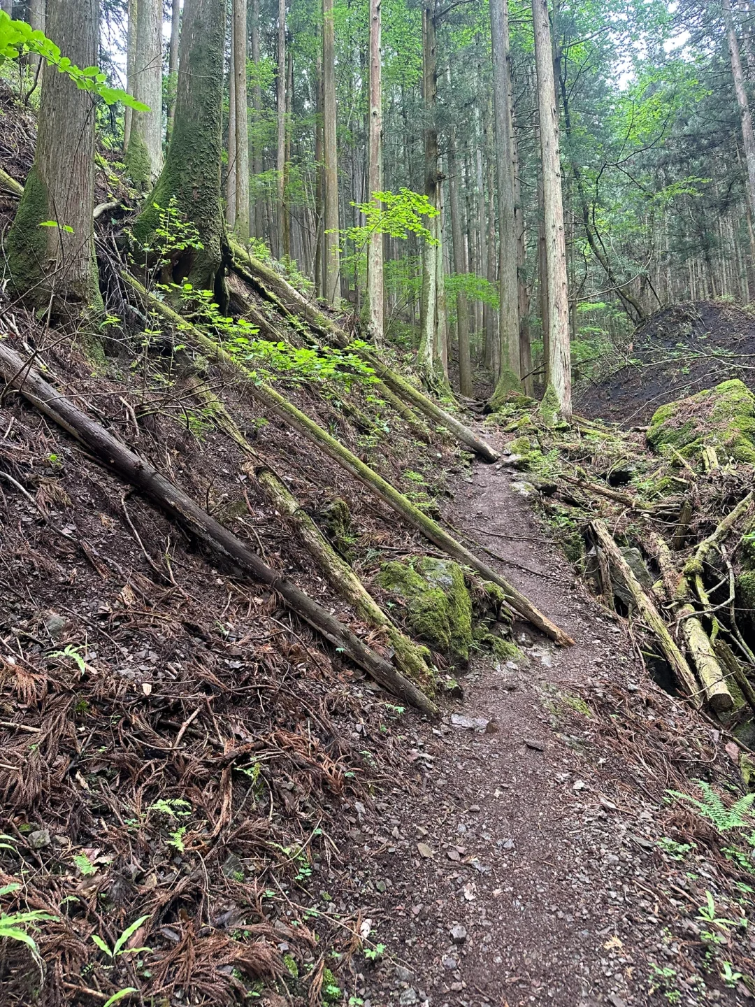 Tokyo Outskirts, Hiking Crew