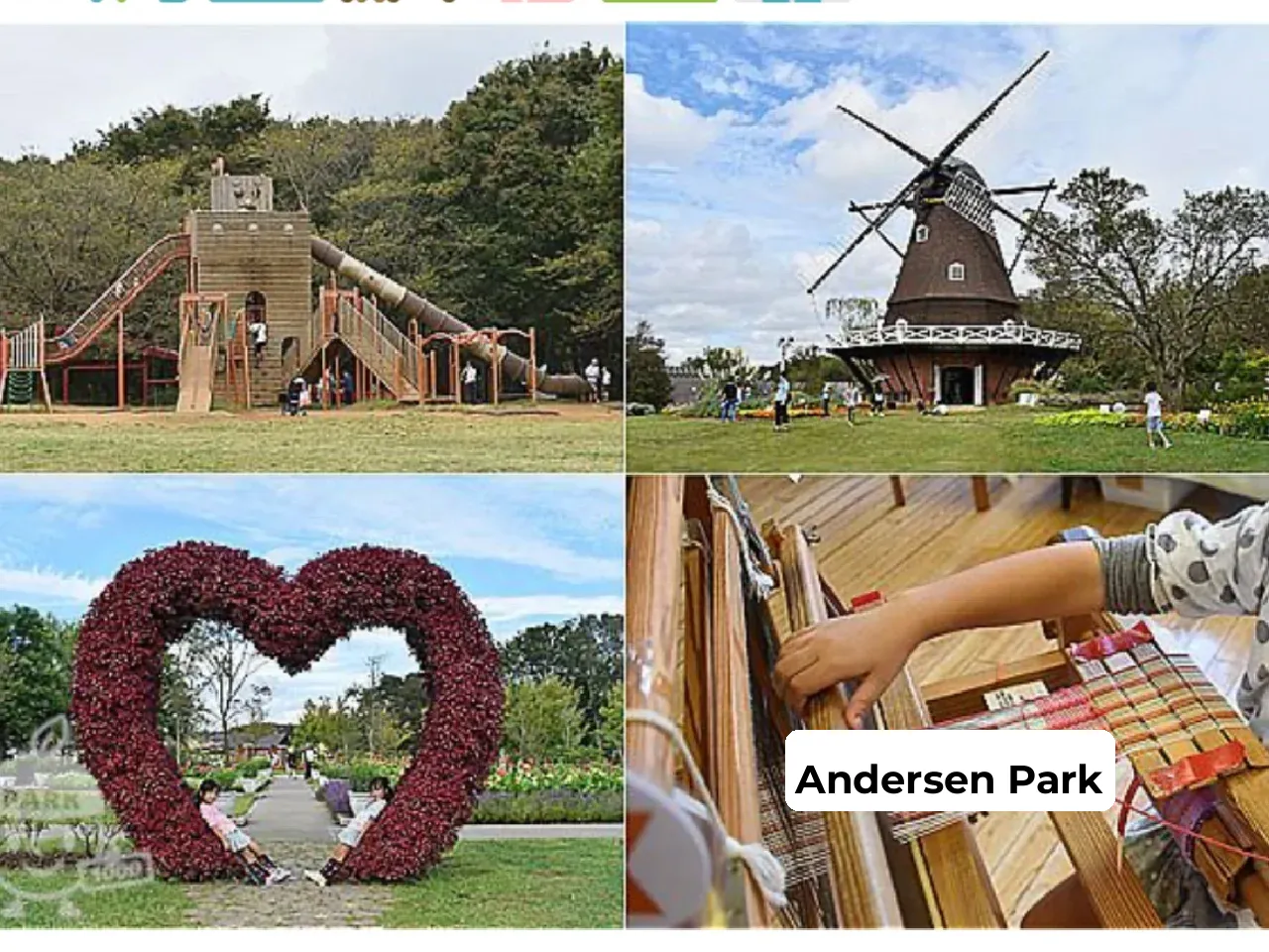 Tokyo's Nearby Playground for Sports Enthusiasts