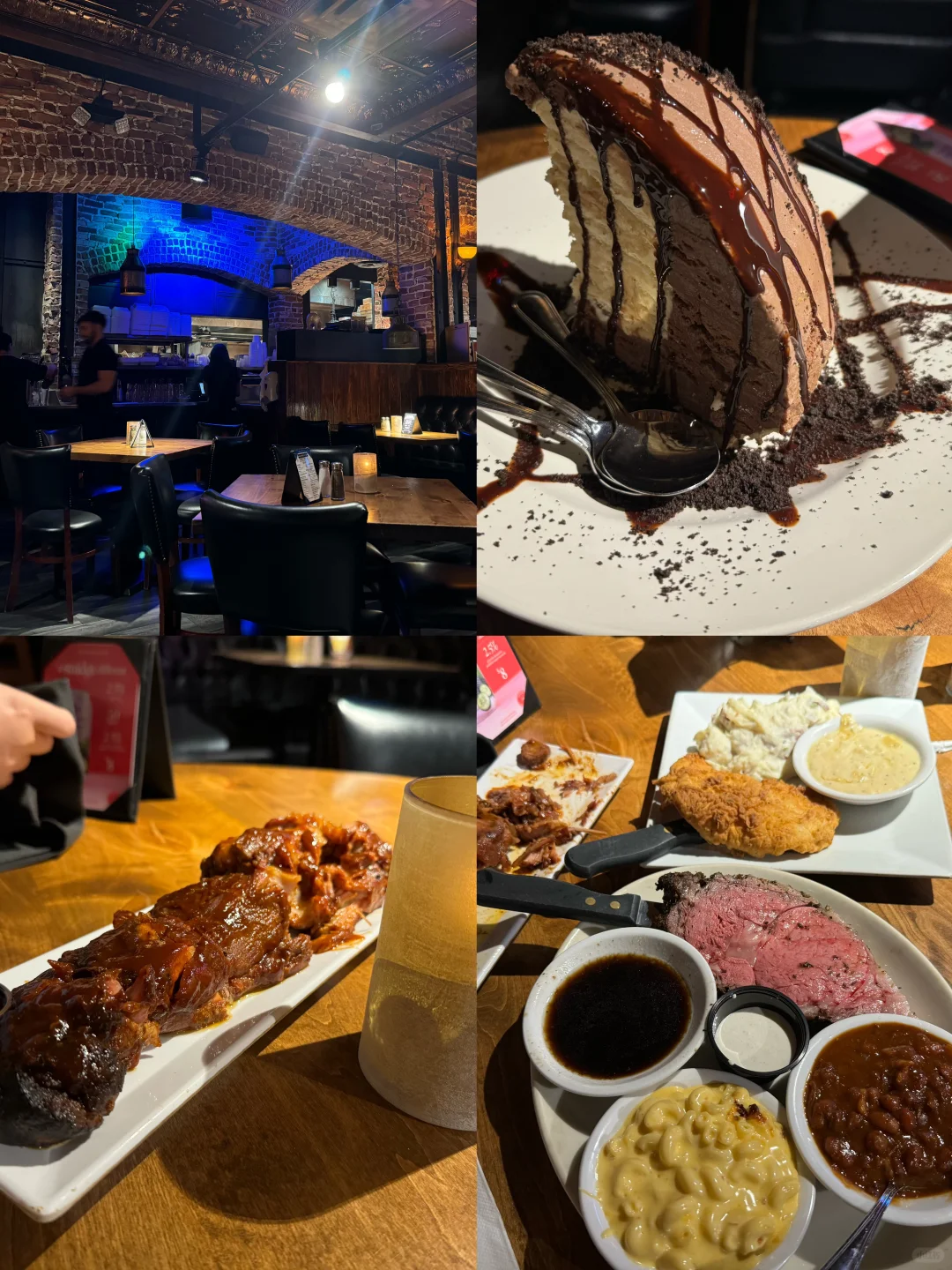 Desert Vibes in Phoenix 🏜️🌵🐫