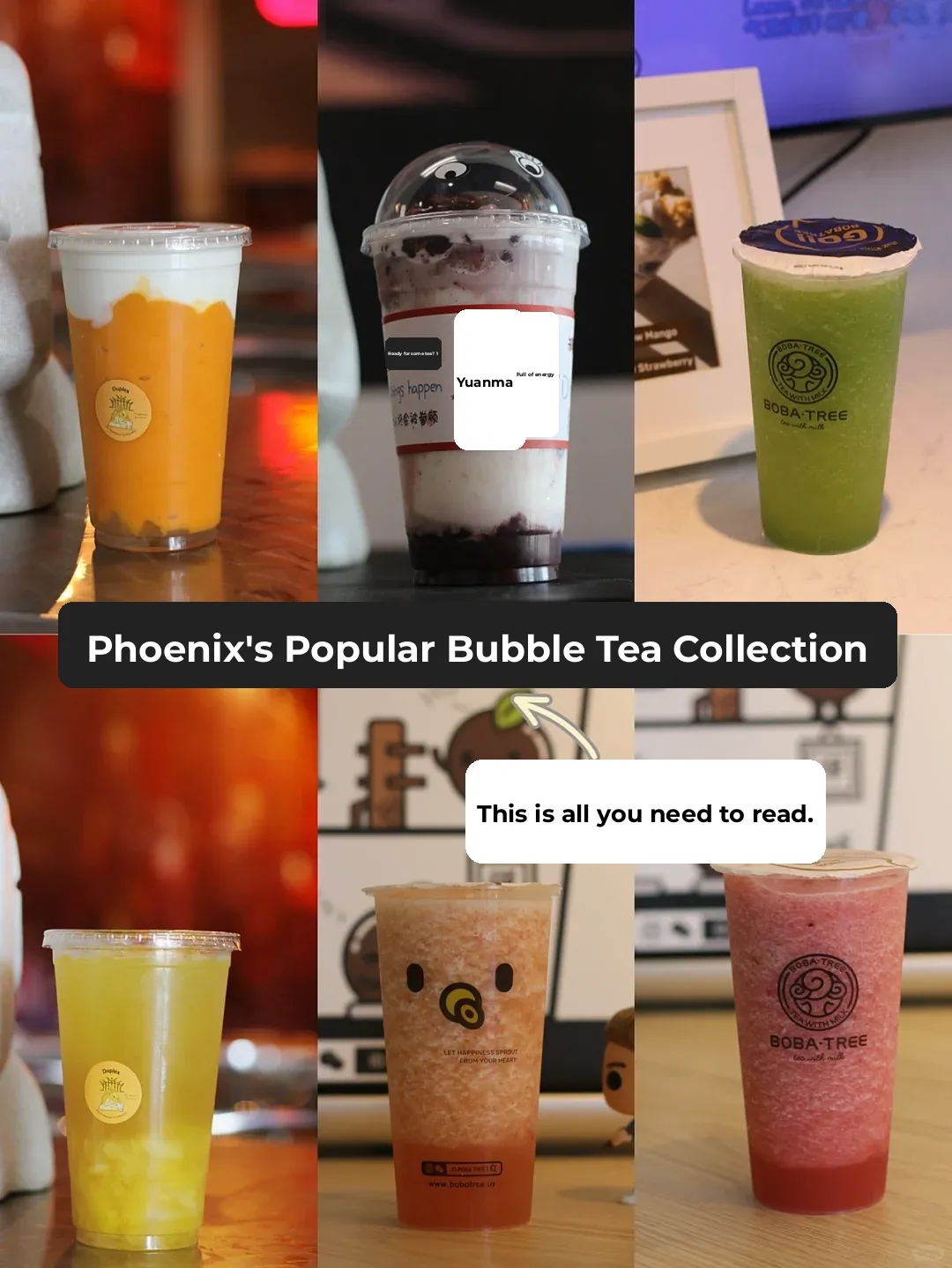 Phoenix Achieves Milk Tea Freedom‼️ Must-See Milk Tea Shop Guide Part 1
