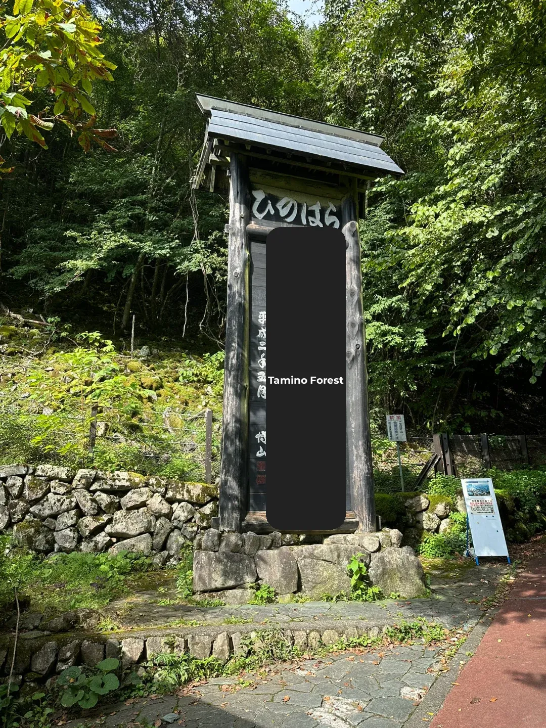 Tokyo Hiking #07: Mitsutoge Mountain