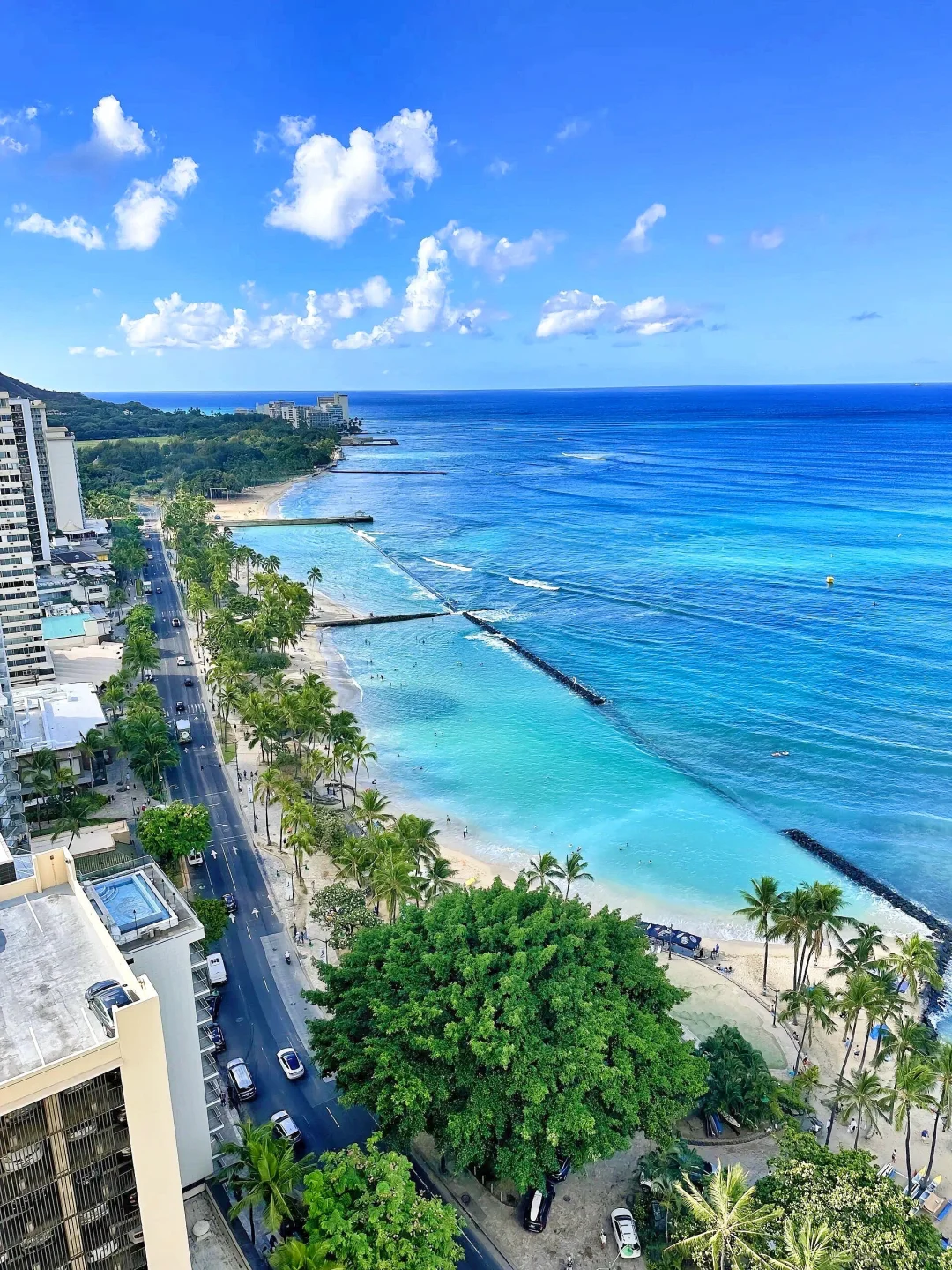 Hawaii Travel Update! Hotels Plummeting, Unbeatable Deals for a Luxurious Stay 🥹