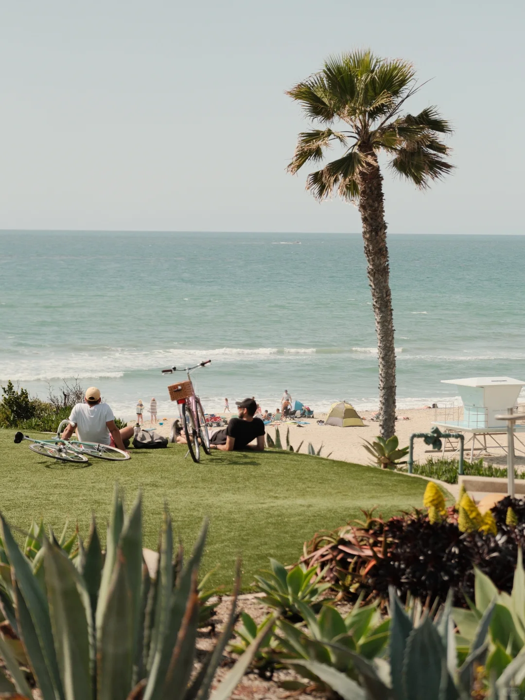 Spring Travel Diary｜This Fujifilm Recipe Pairs Perfectly with California🌴🌊