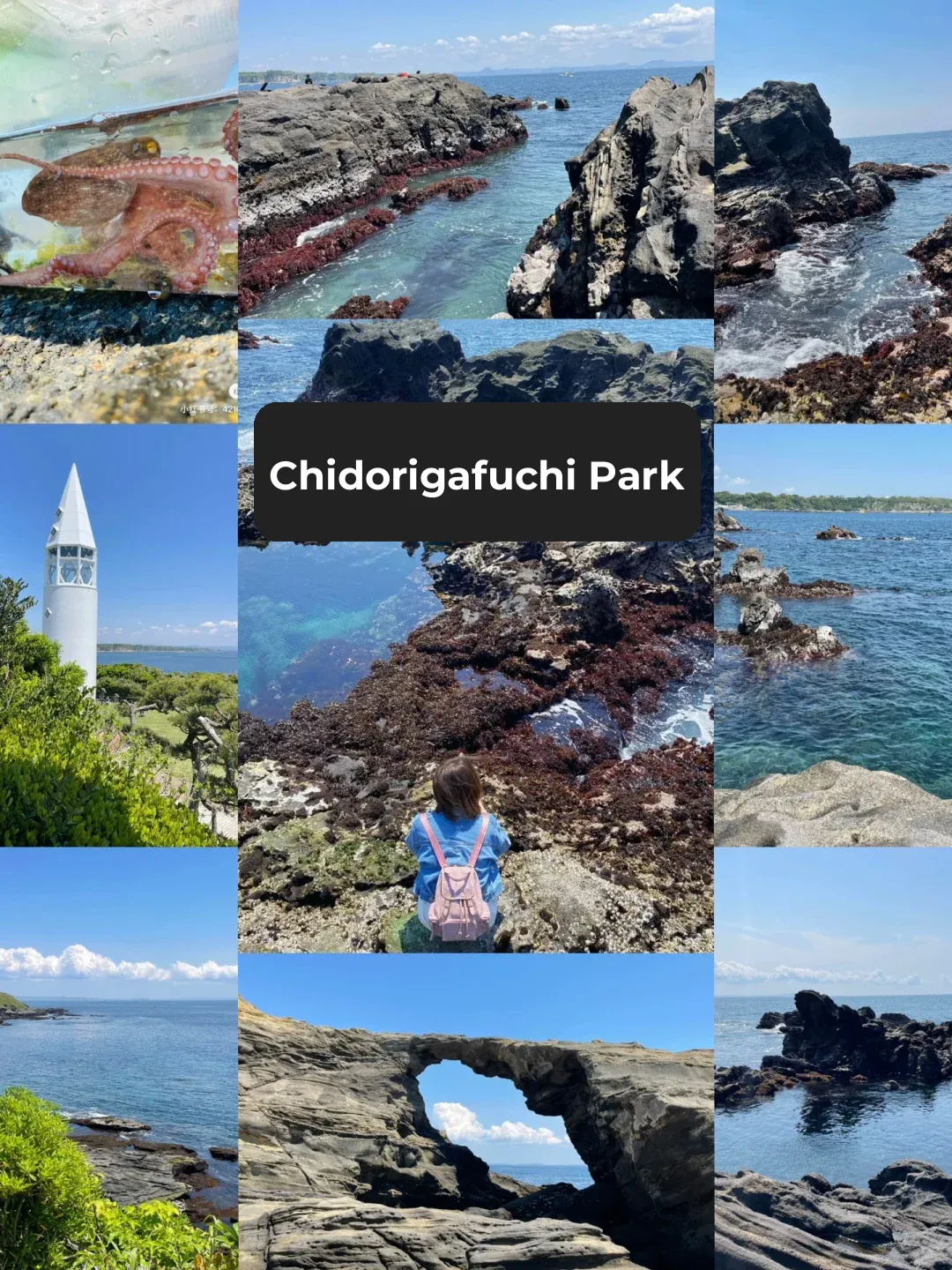 Who Can Resist⁉️ Top 6 Must-Visit Spots for Ocean Views in Tokyo