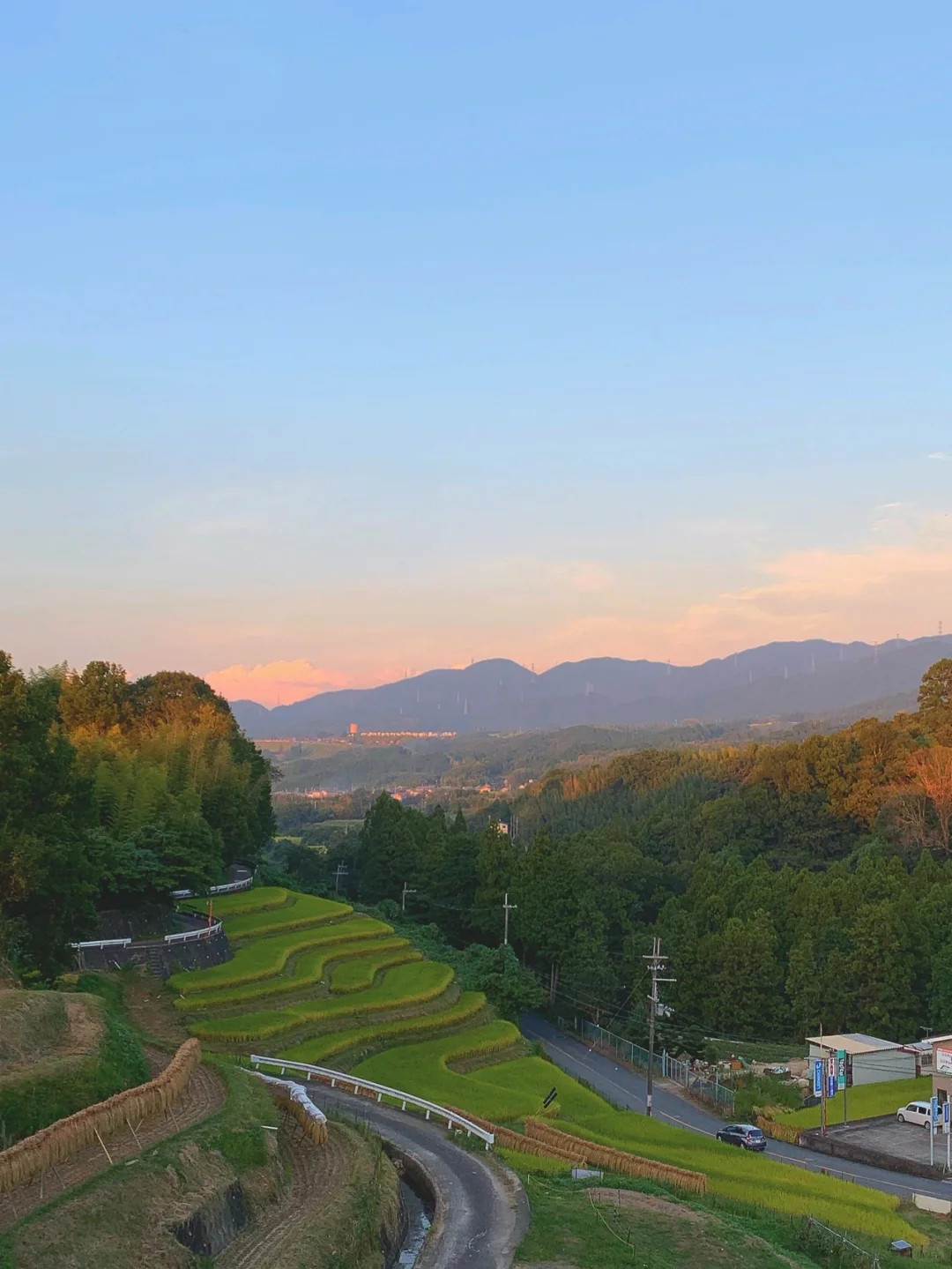 🧸 Osaka | Escaping to the Countryside for Fresh Air