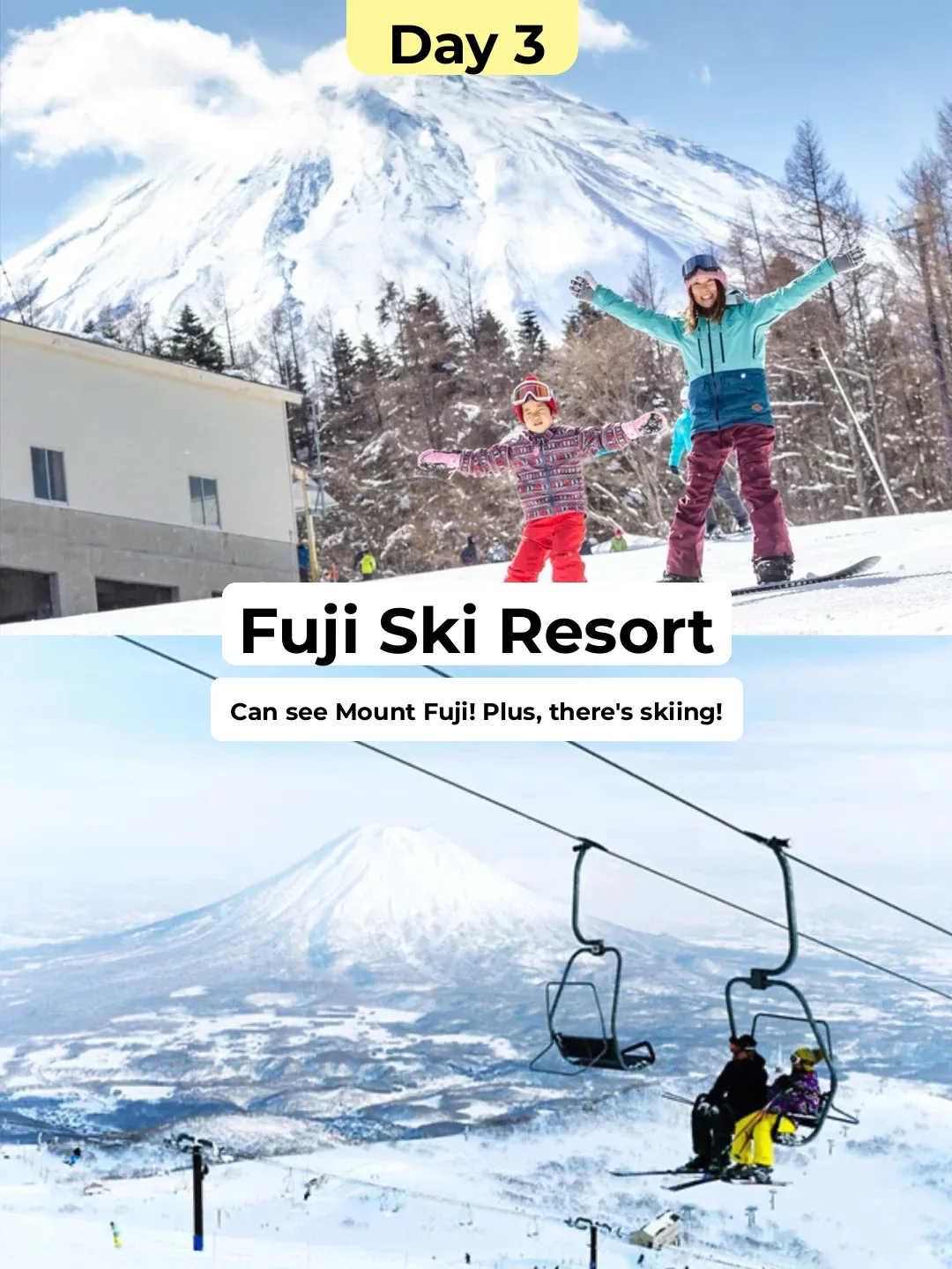 Private Tour of Honshu, Japan 🍵 Must-Do Classic Itinerary for First-Timers 😍