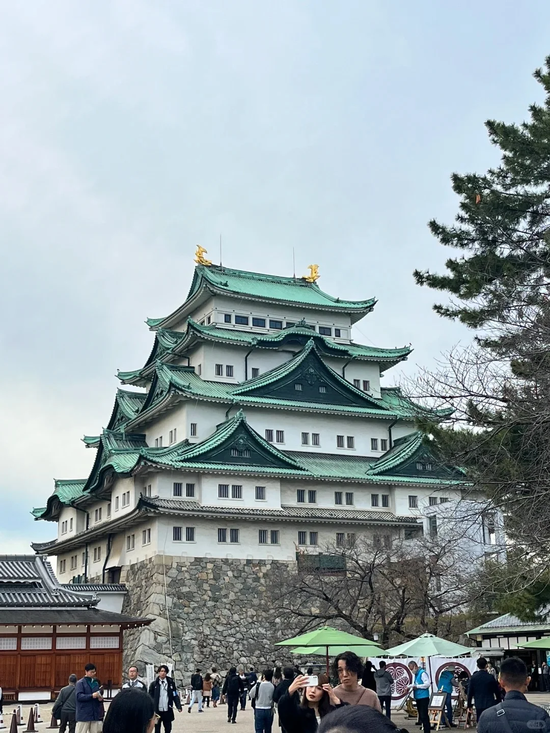 Too Lazy to Plan? Check Out This Ultimate [Nagoya Guide]