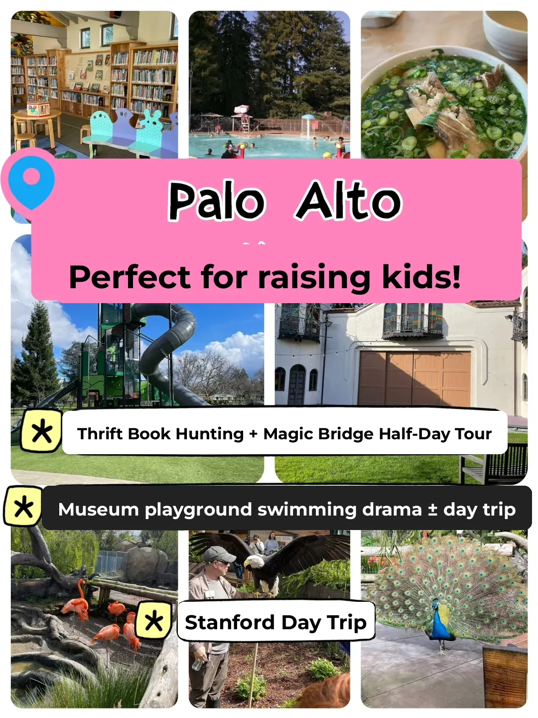 Bay Area Family Fun: Palo Alto's Educational and Entertaining Kid-Friendly Trail