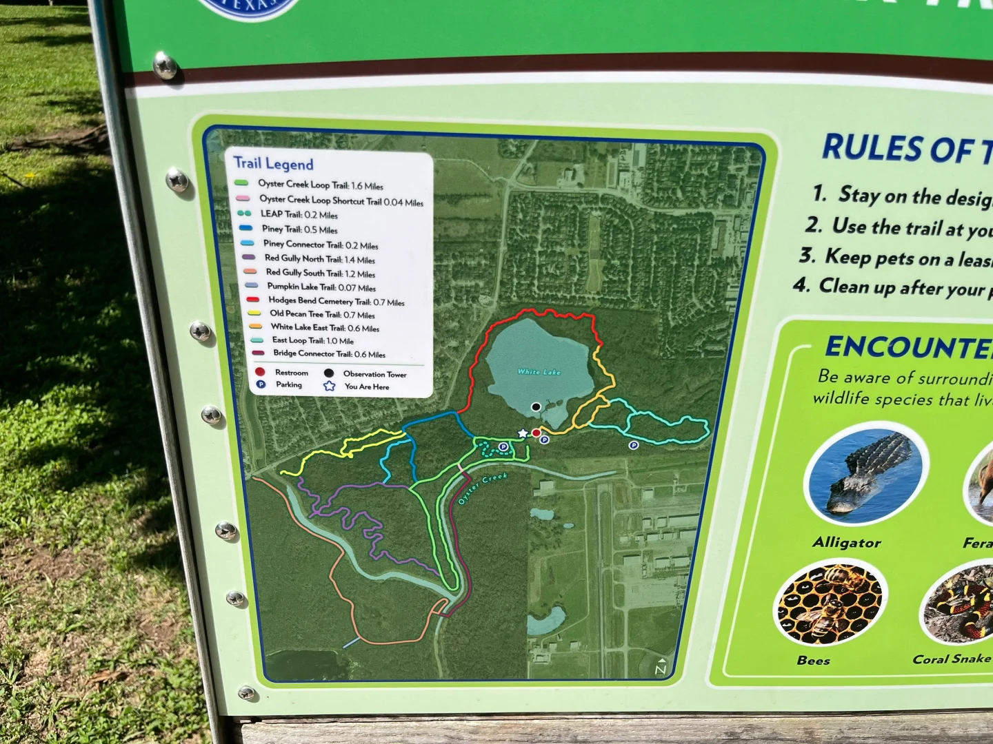 Houston's Cullinan Park｜A Paradise for Birdwatchers and Nature Lovers