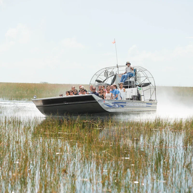Heading to Everglades National Park? This Guide Has You Covered!