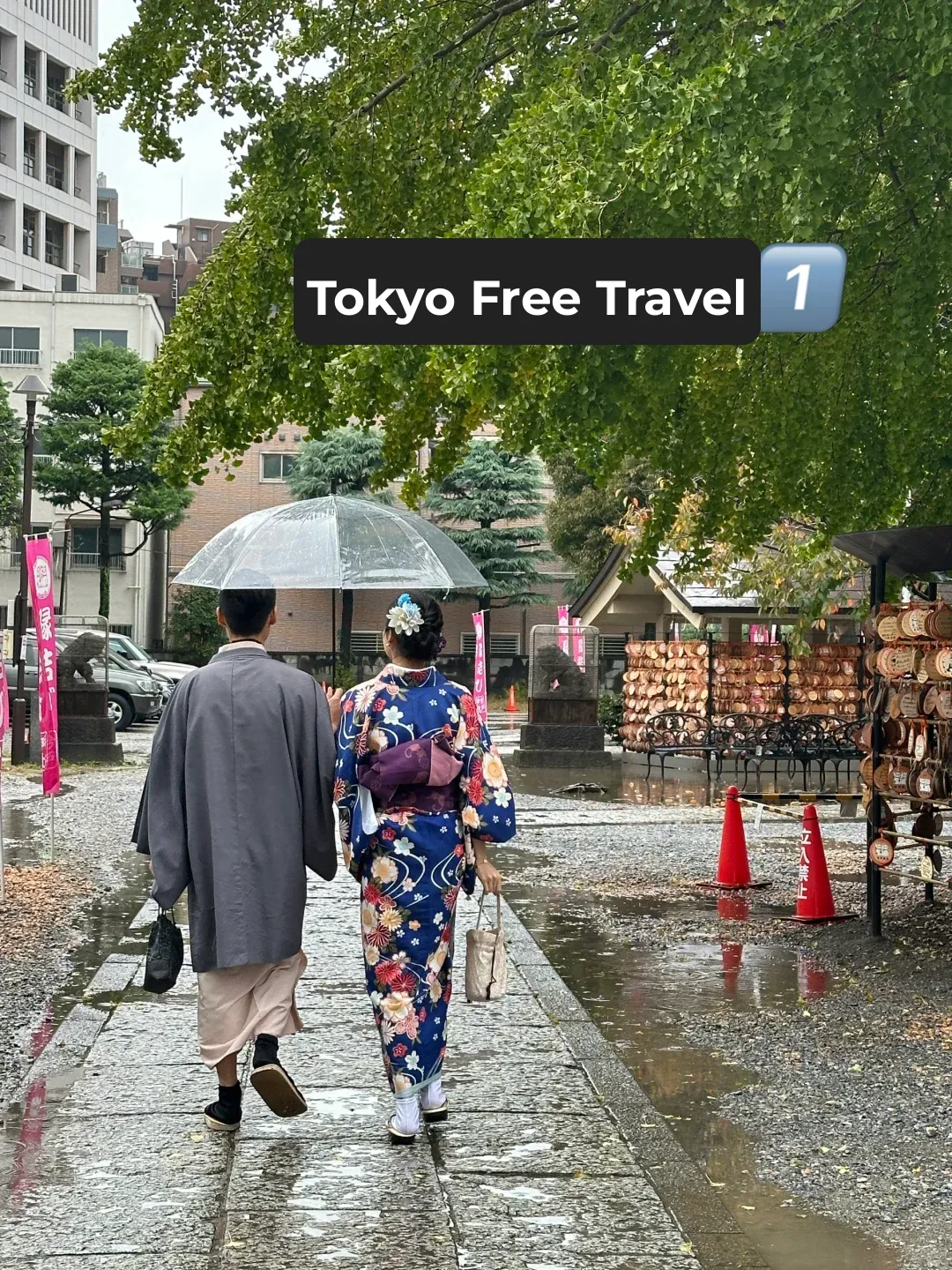 Thanksgiving Japan Free & Easy Trip 1️⃣ - Prologue