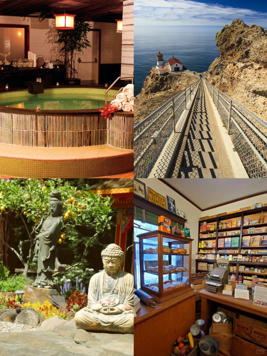 Where to Go in the Bay Area for Thanksgiving 🍭 21 Must-Do Activities to Unwind