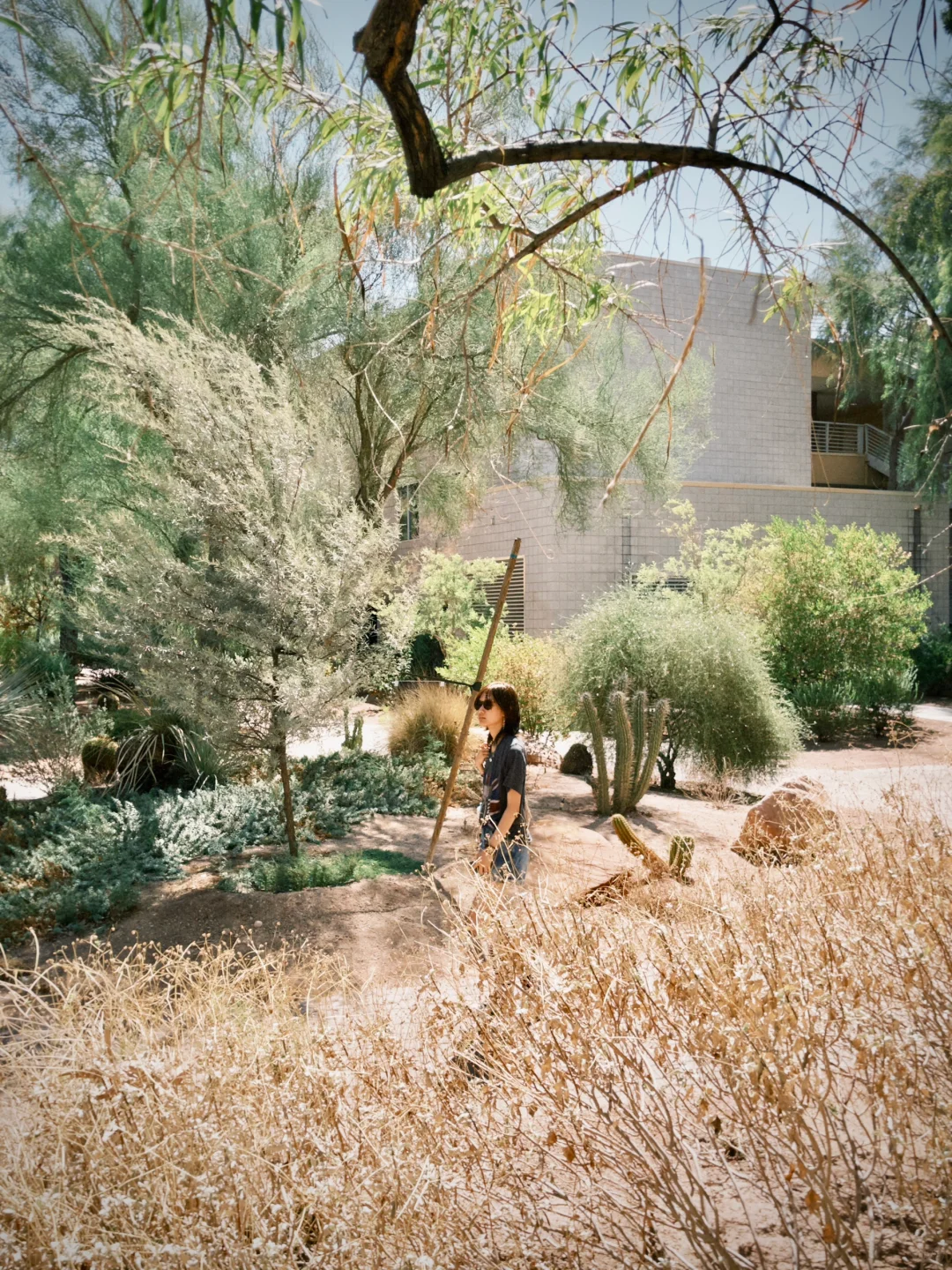 Vegas｜Desert Botanical Garden 🌵