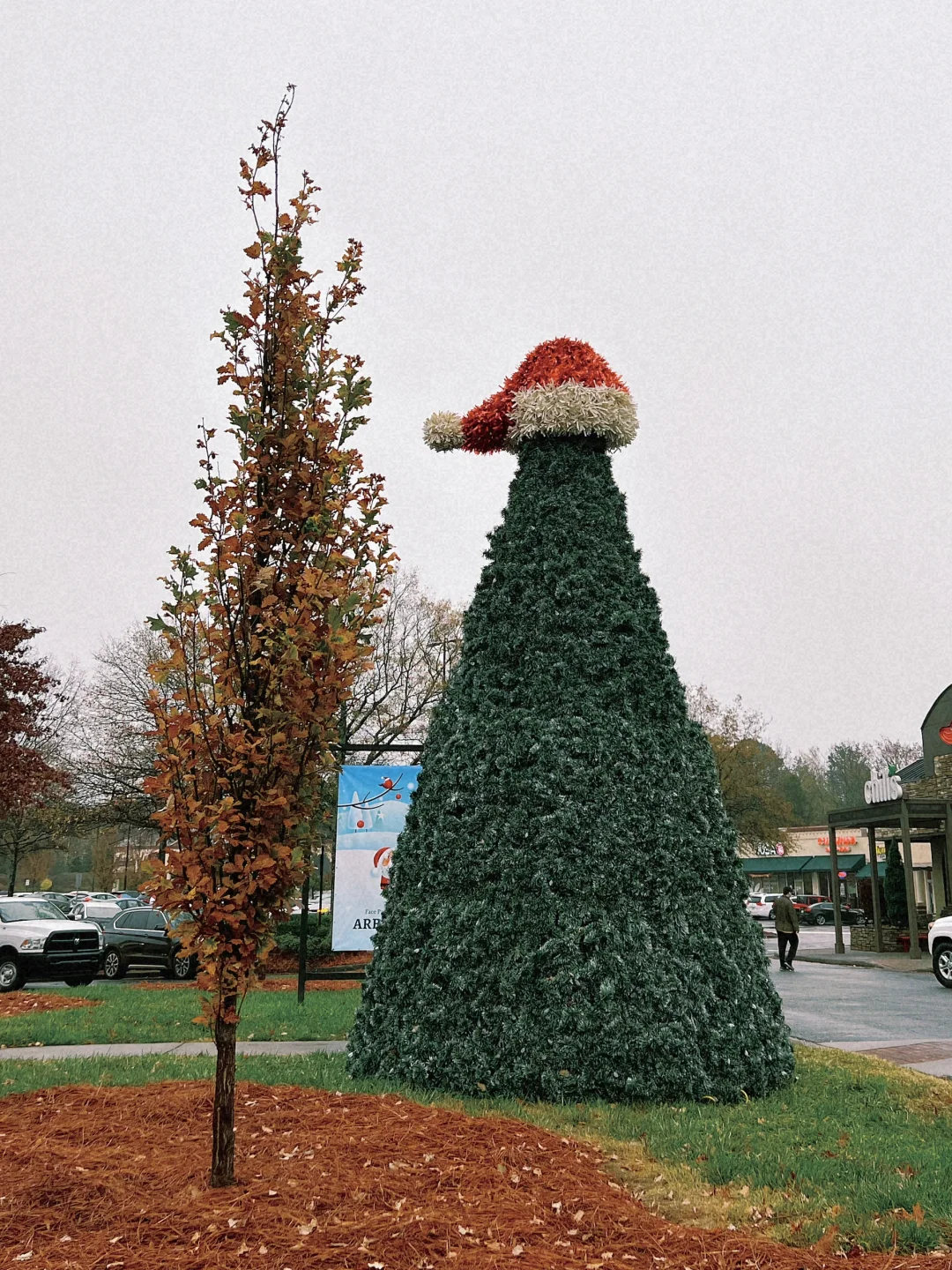 Charlotte | Mediocre Food but a Fantastic Place to Explore